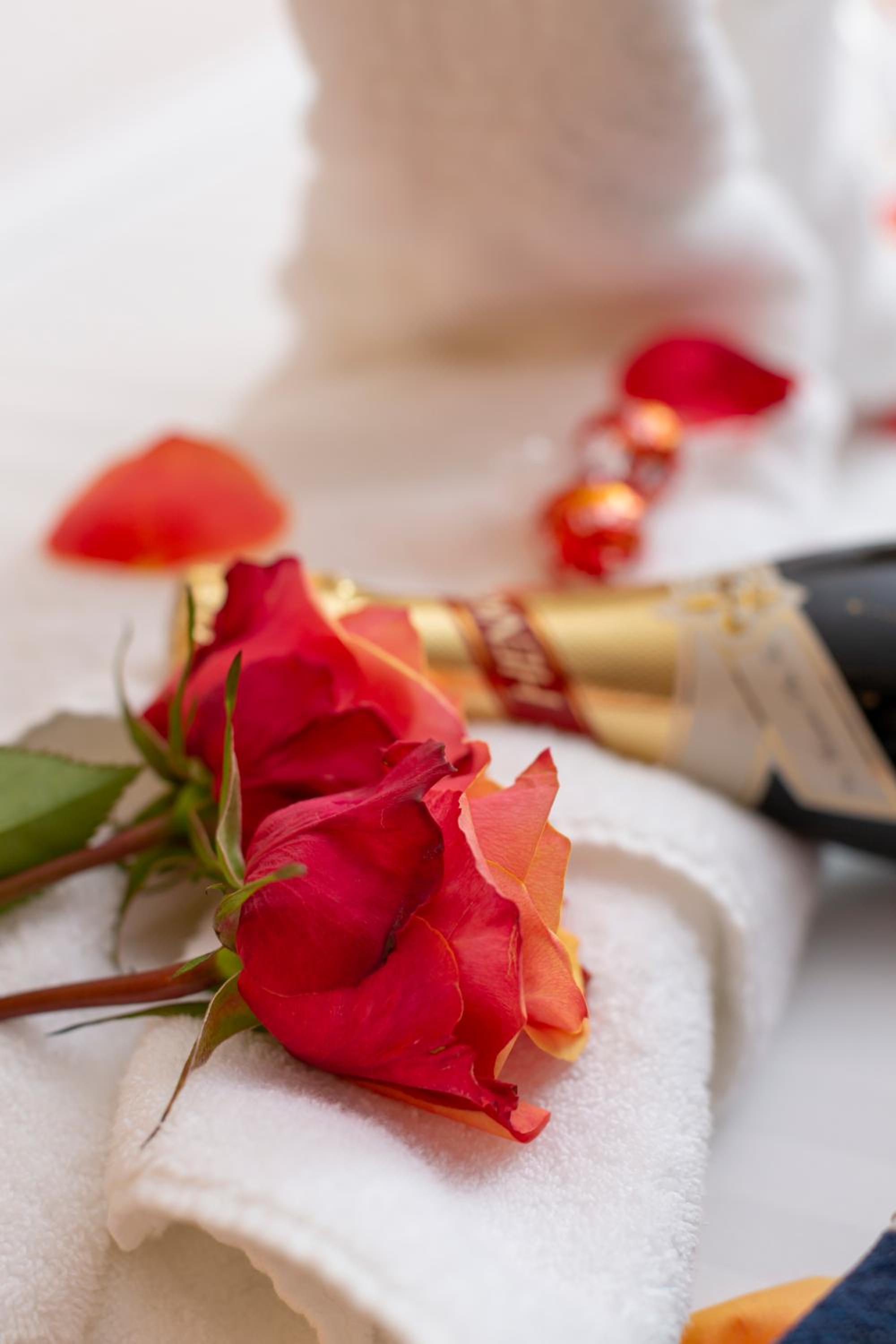 King Suite with Spa Bath