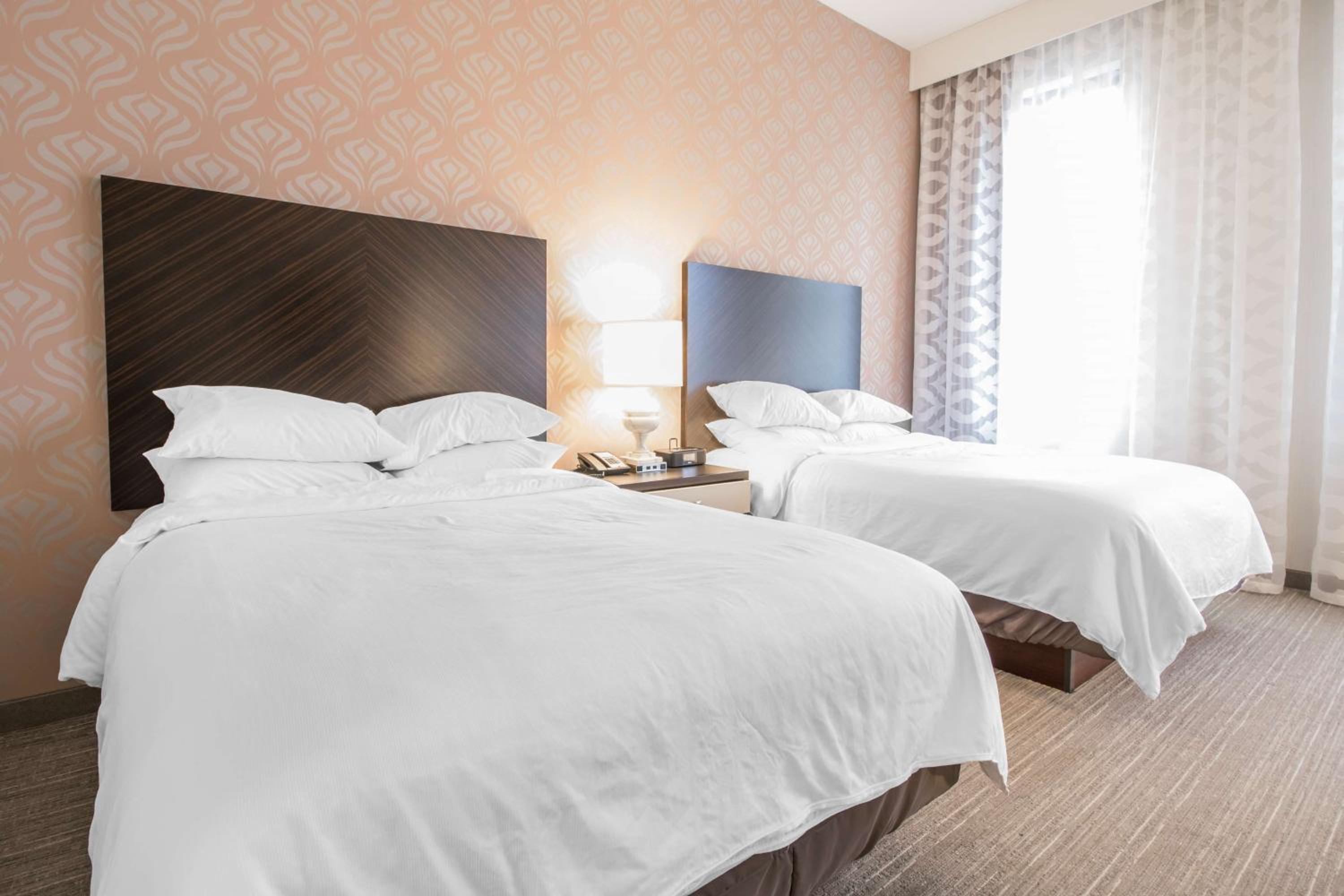 Queen Suite with Two Queen Beds