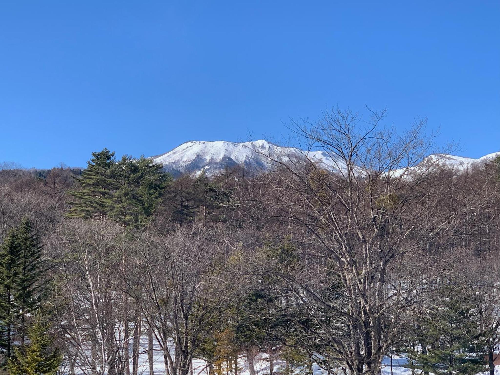 Deluxe Twin Room Mountain View with Private bath room-Non-Smorking