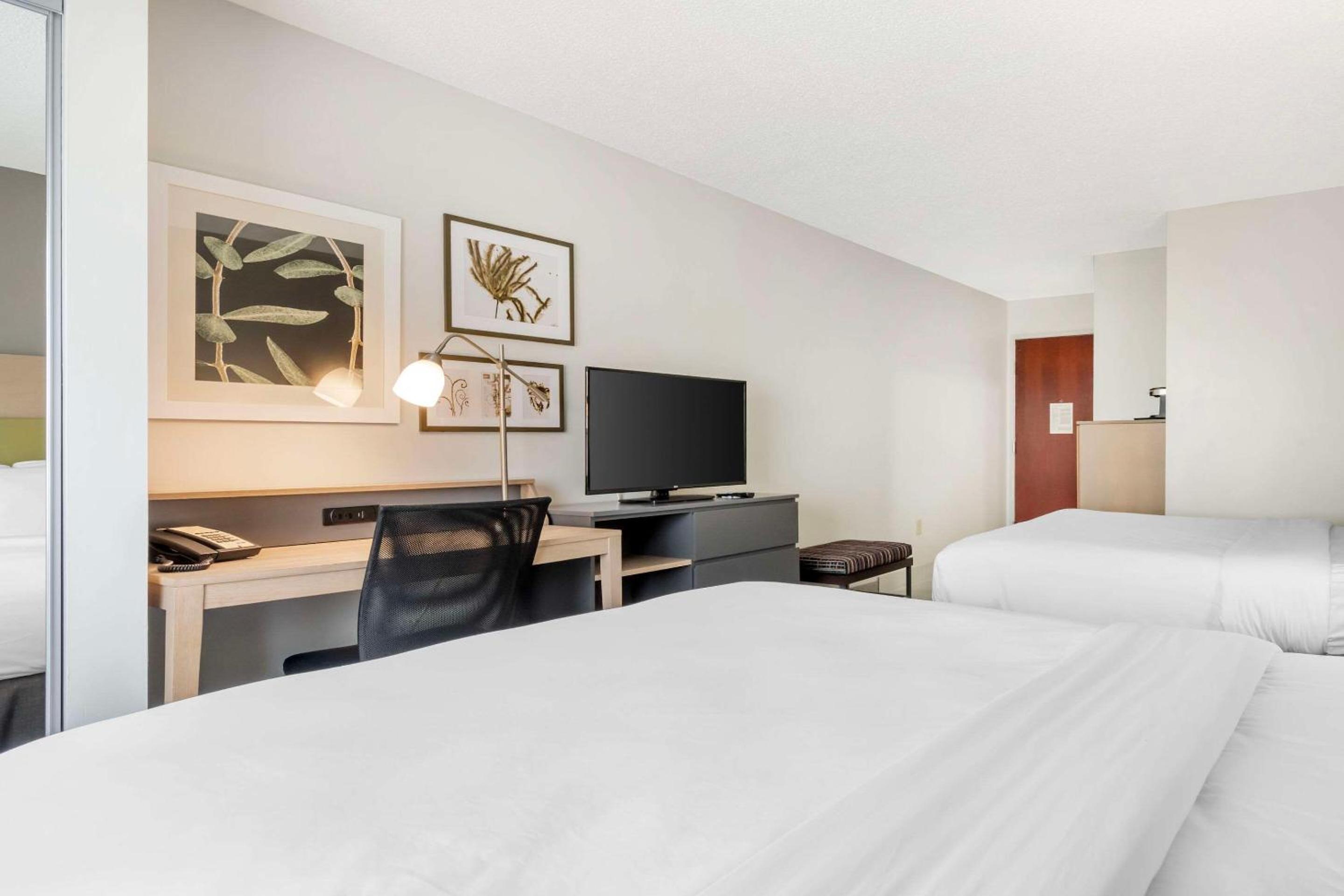 Queen Room with Two Queen Beds - Non-Smoking