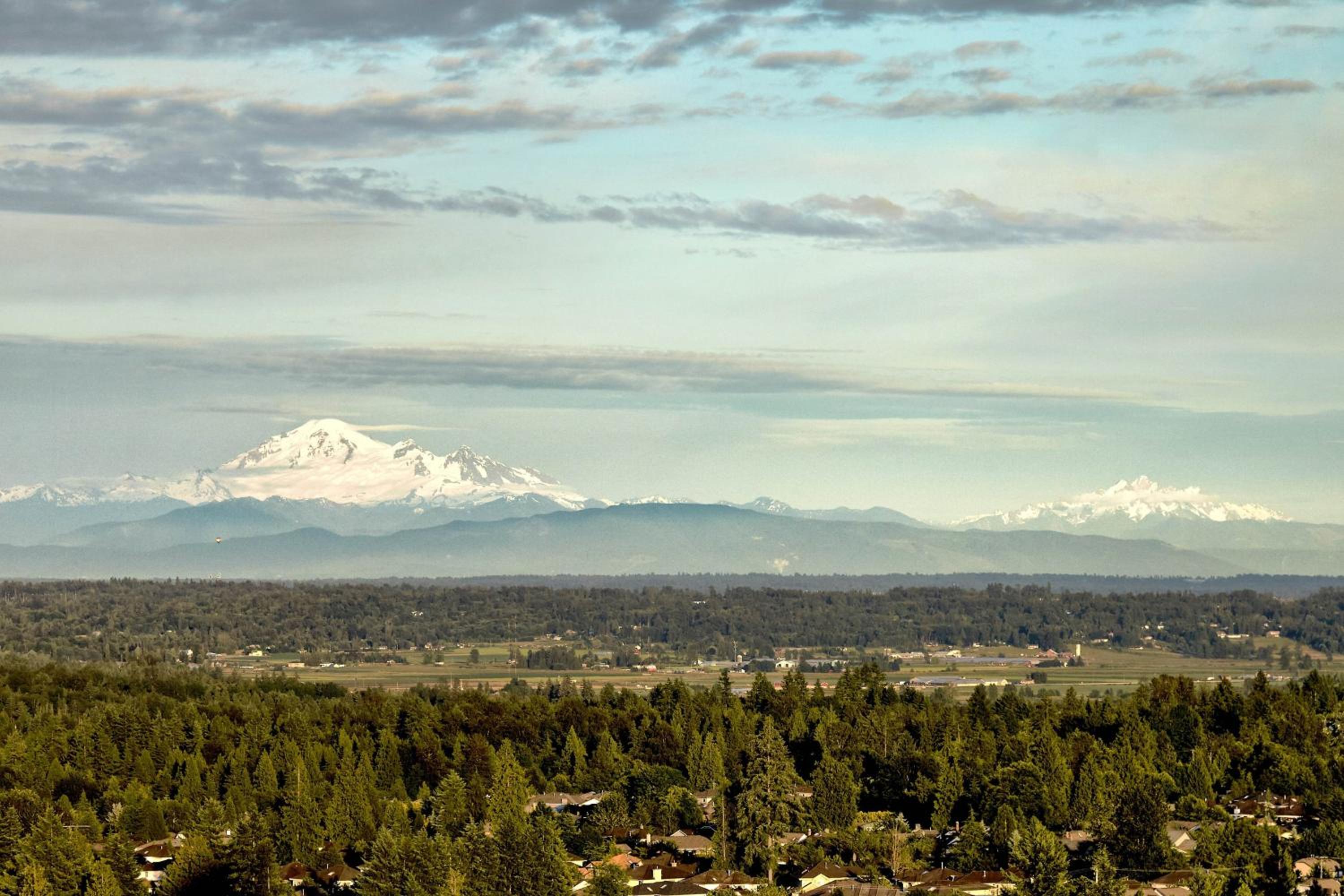 Deluxe King Room with Sofa Bed