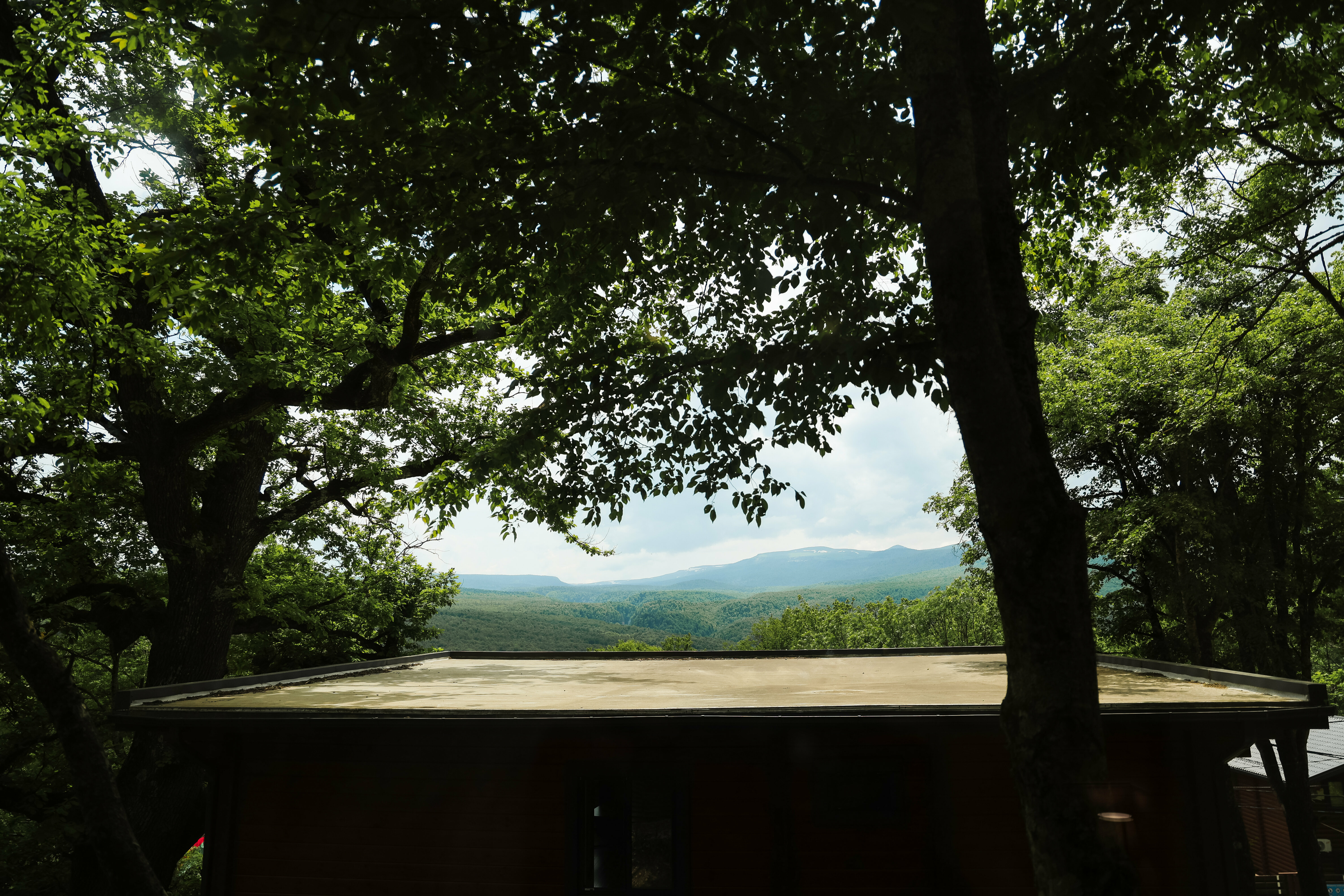 Двухместный