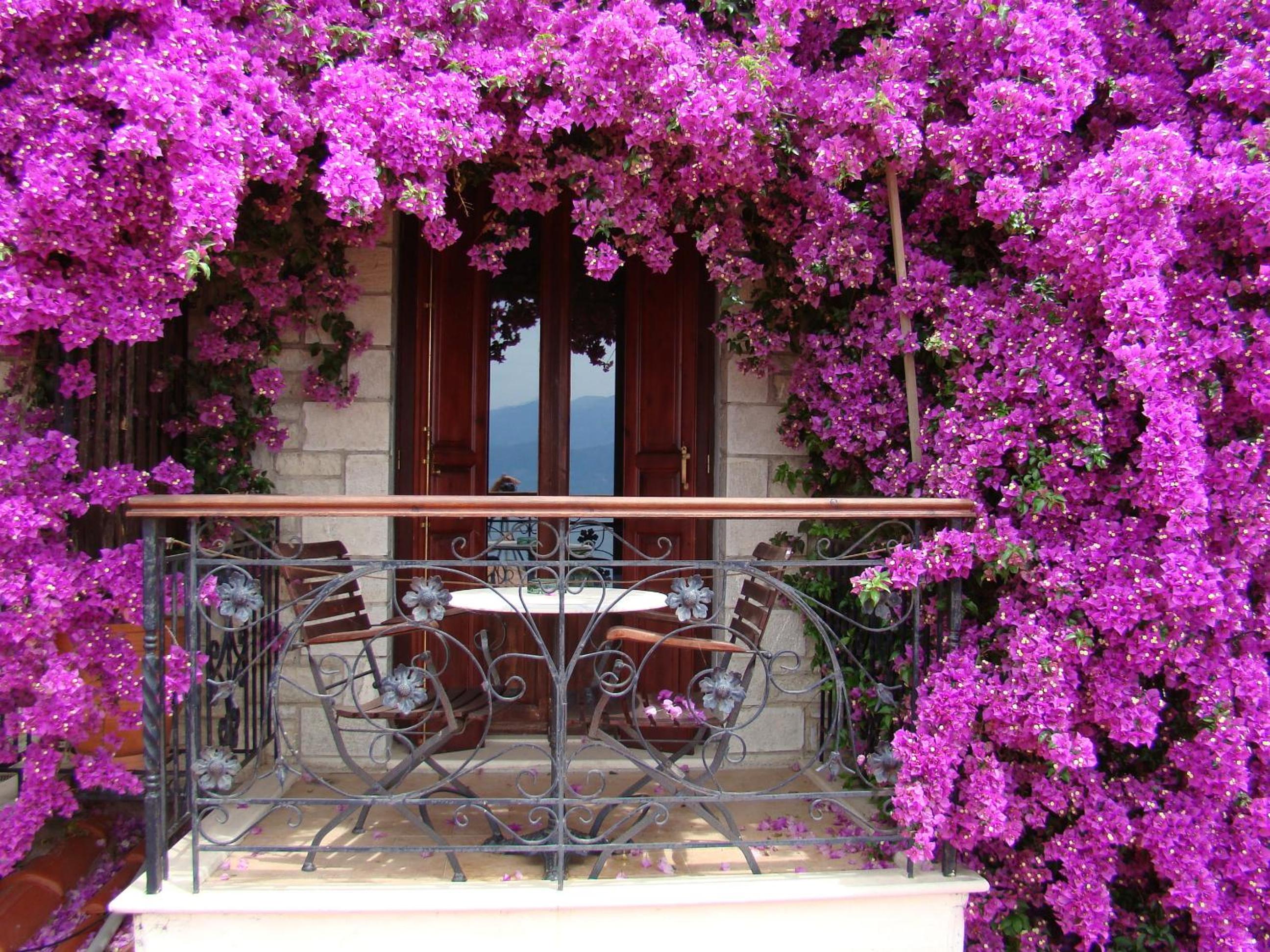 Superior Double Room with Sea View