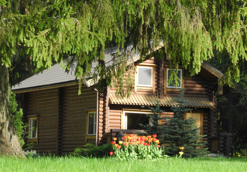 ВИП