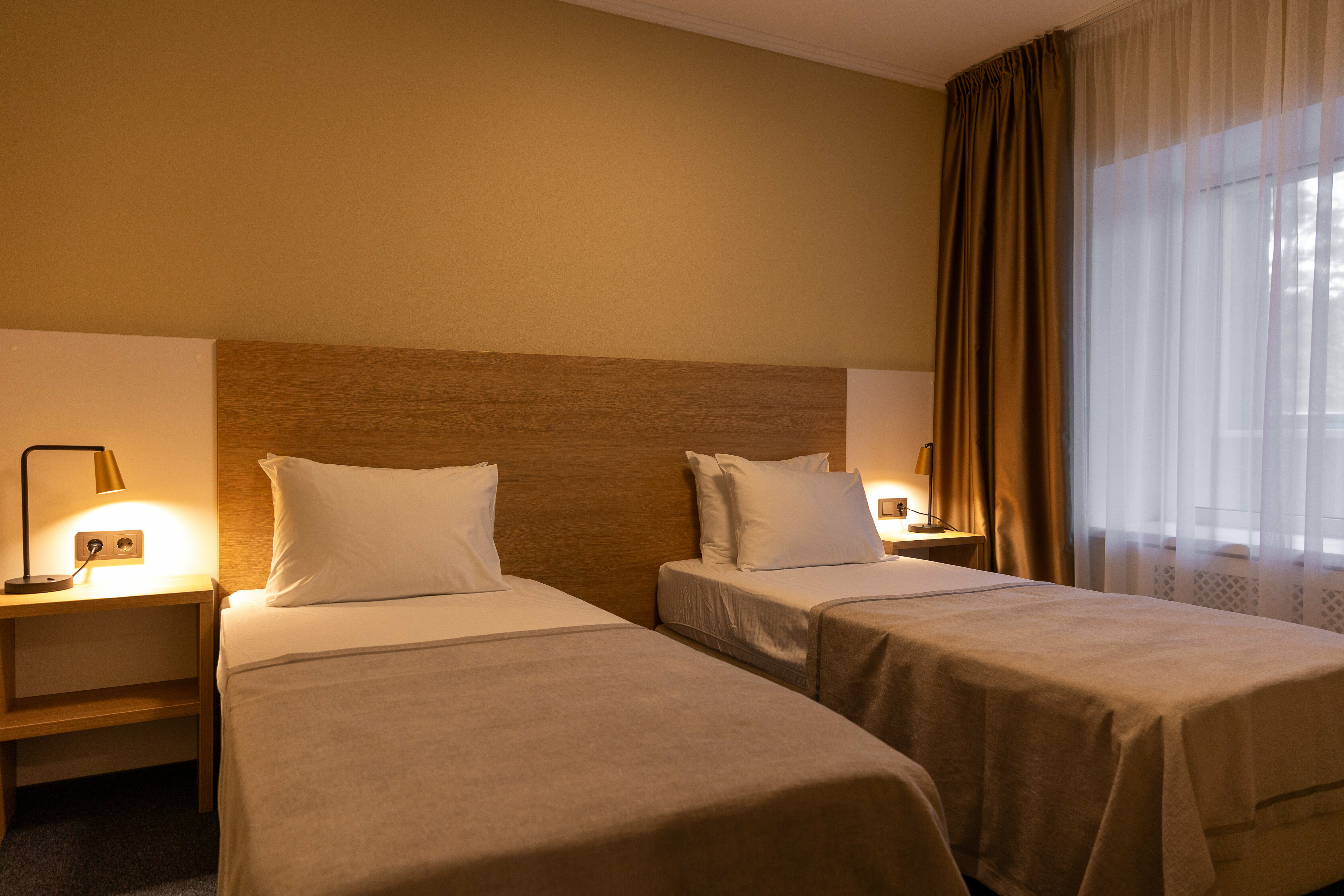 Стандарт с видом на лес