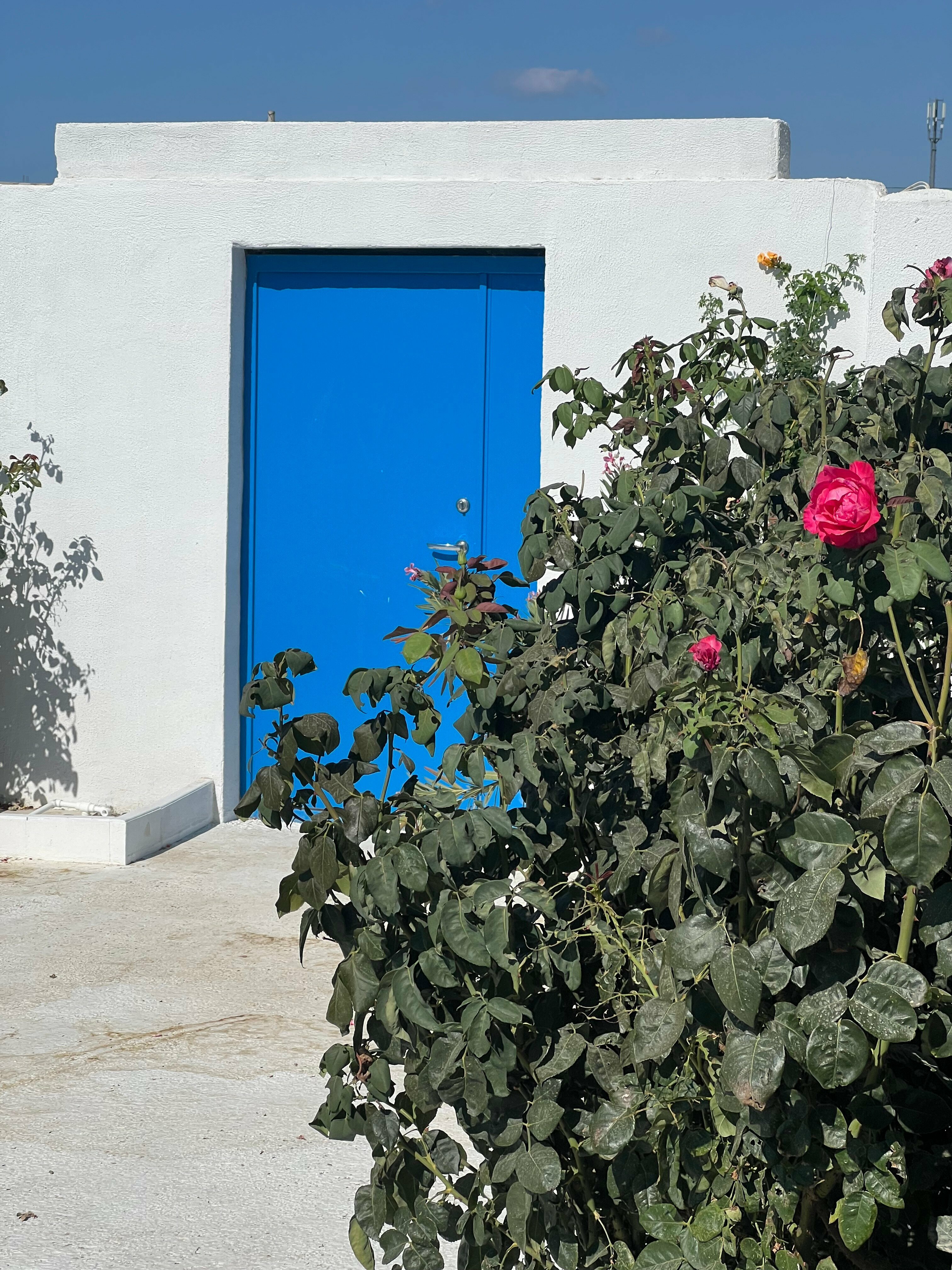 Четырёхместный номер с балконом и видом на море