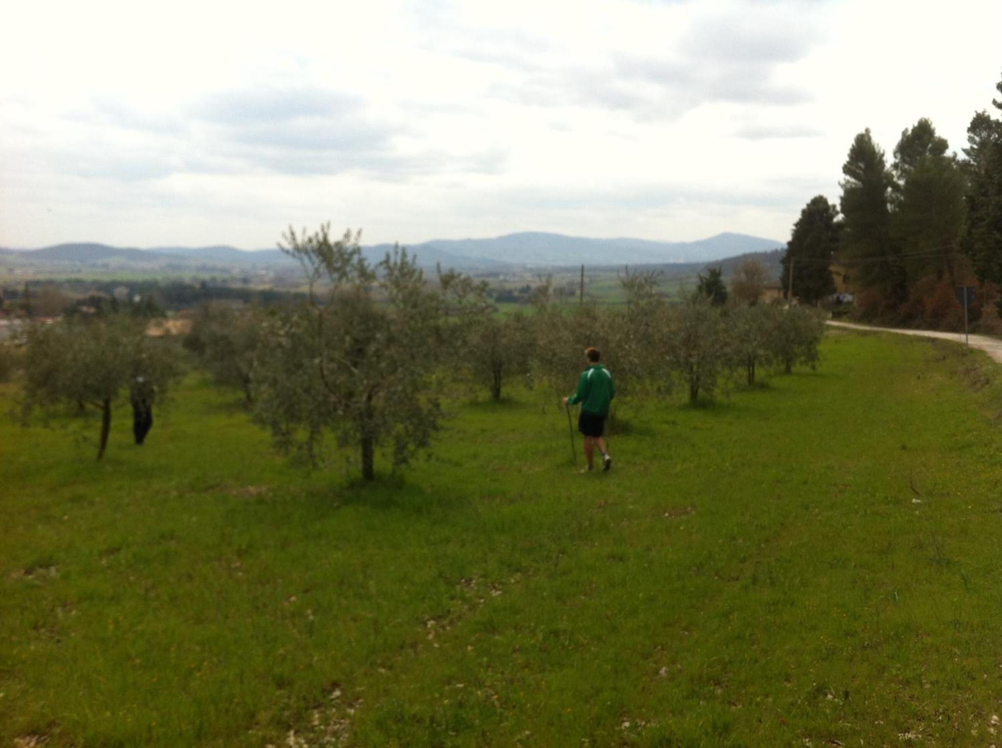 Family Apartment - Split Level