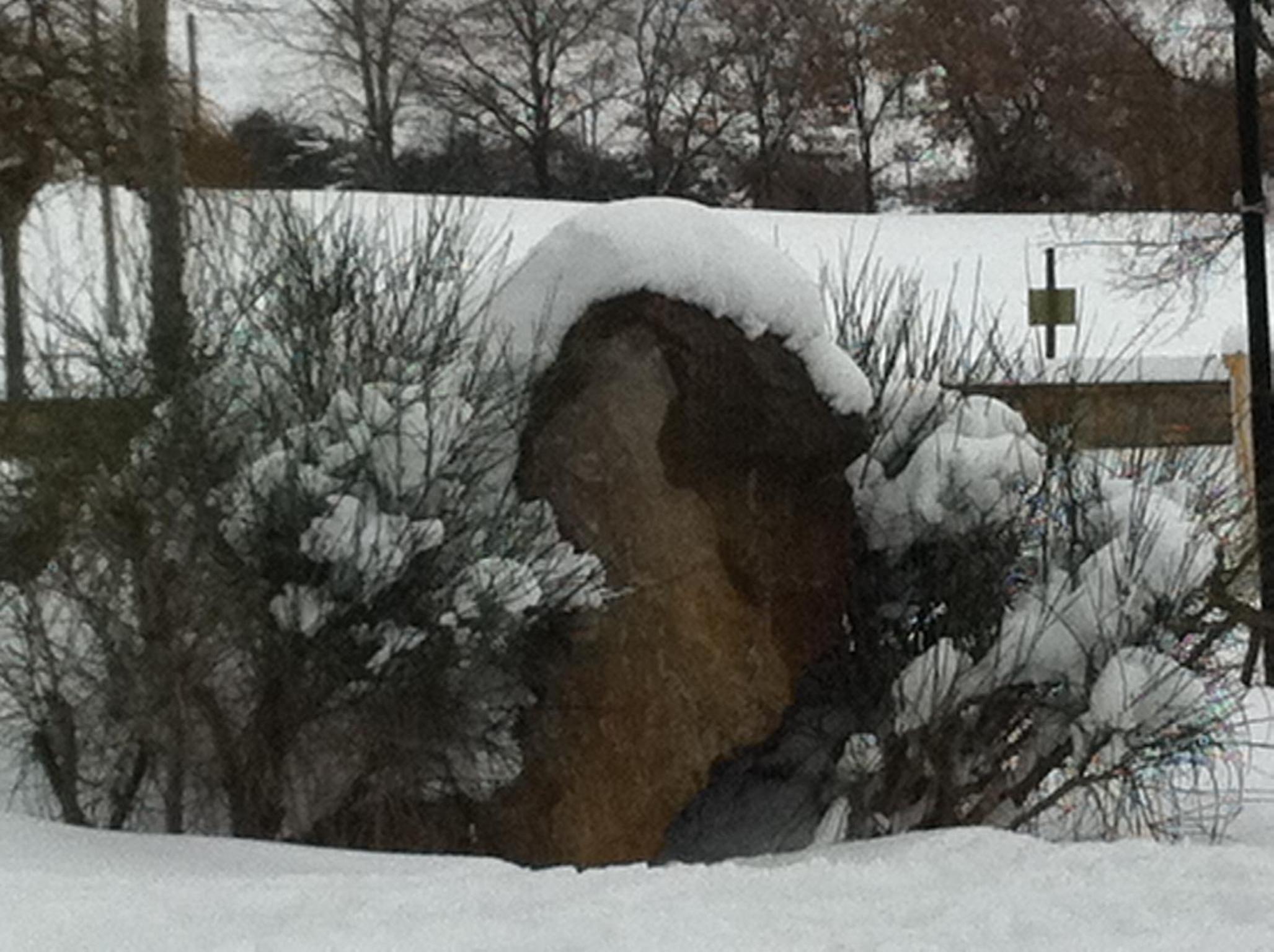 Family Apartment - Split Level