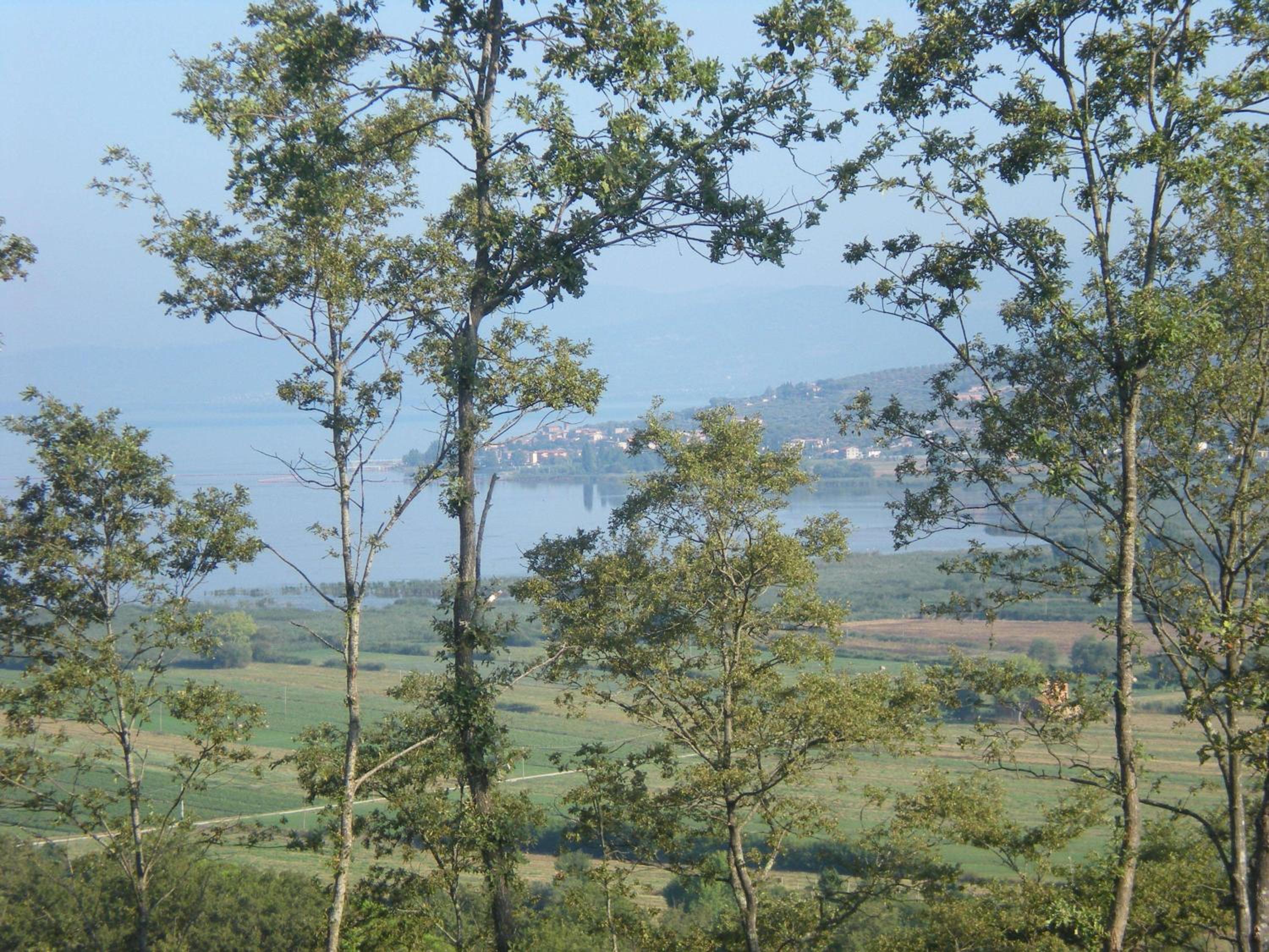 Family Apartment - Split Level