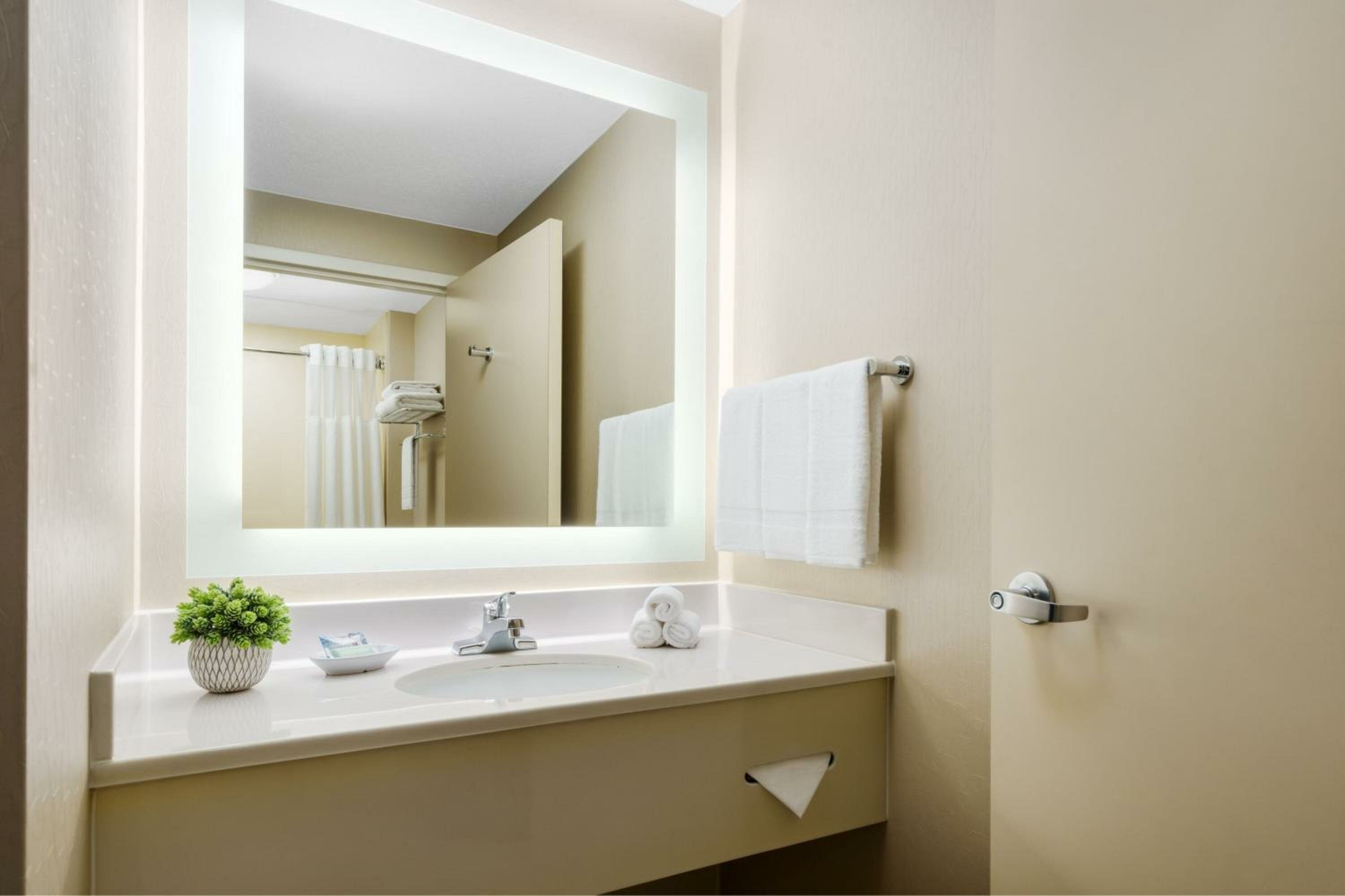 Executive Suite, 1 King, Sofa bed