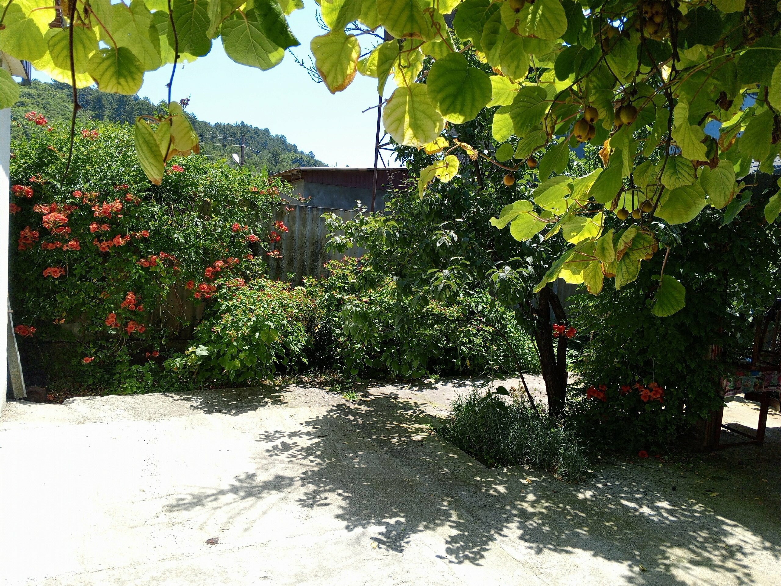 Двухуровневый люкс