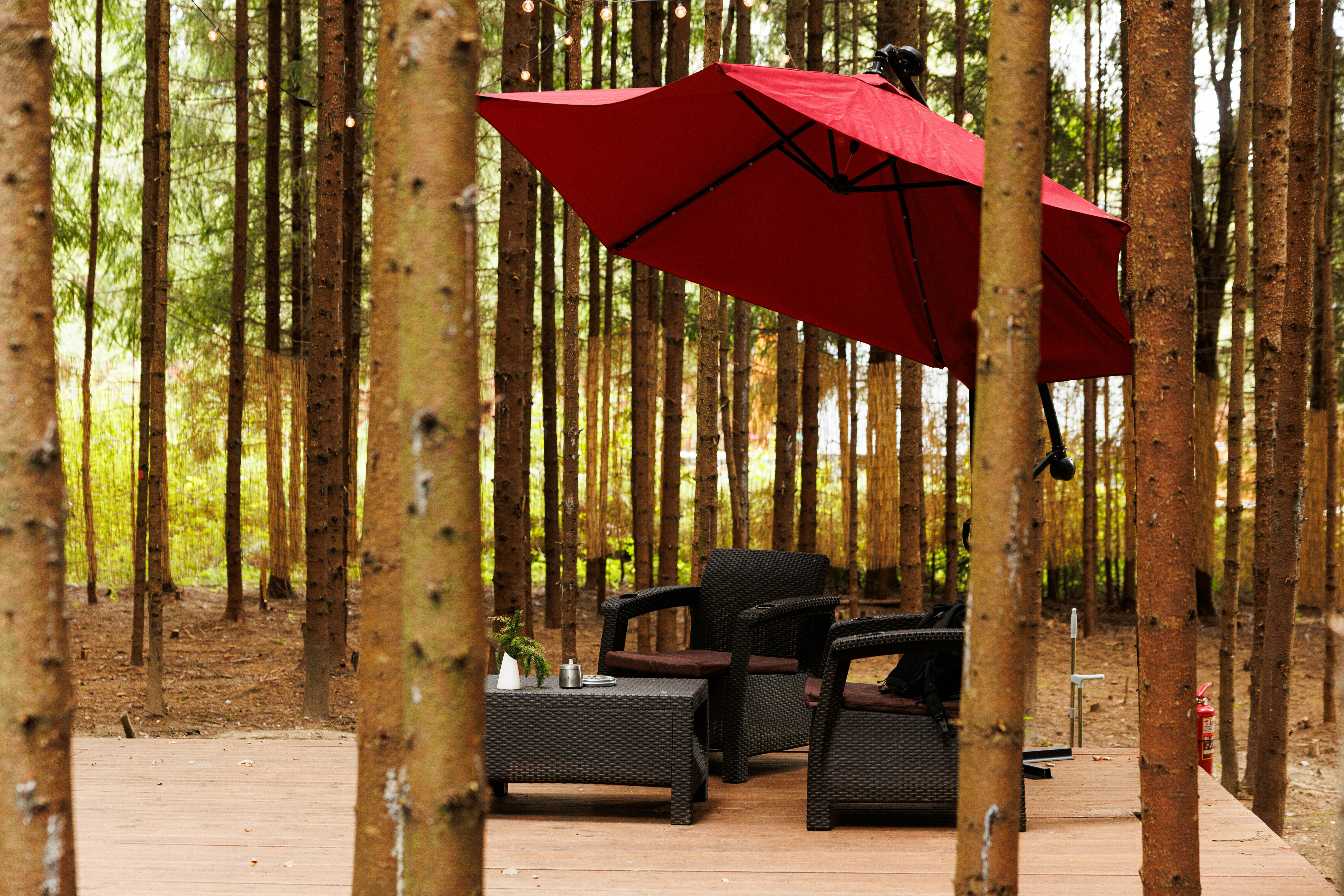 Люкс с террасой