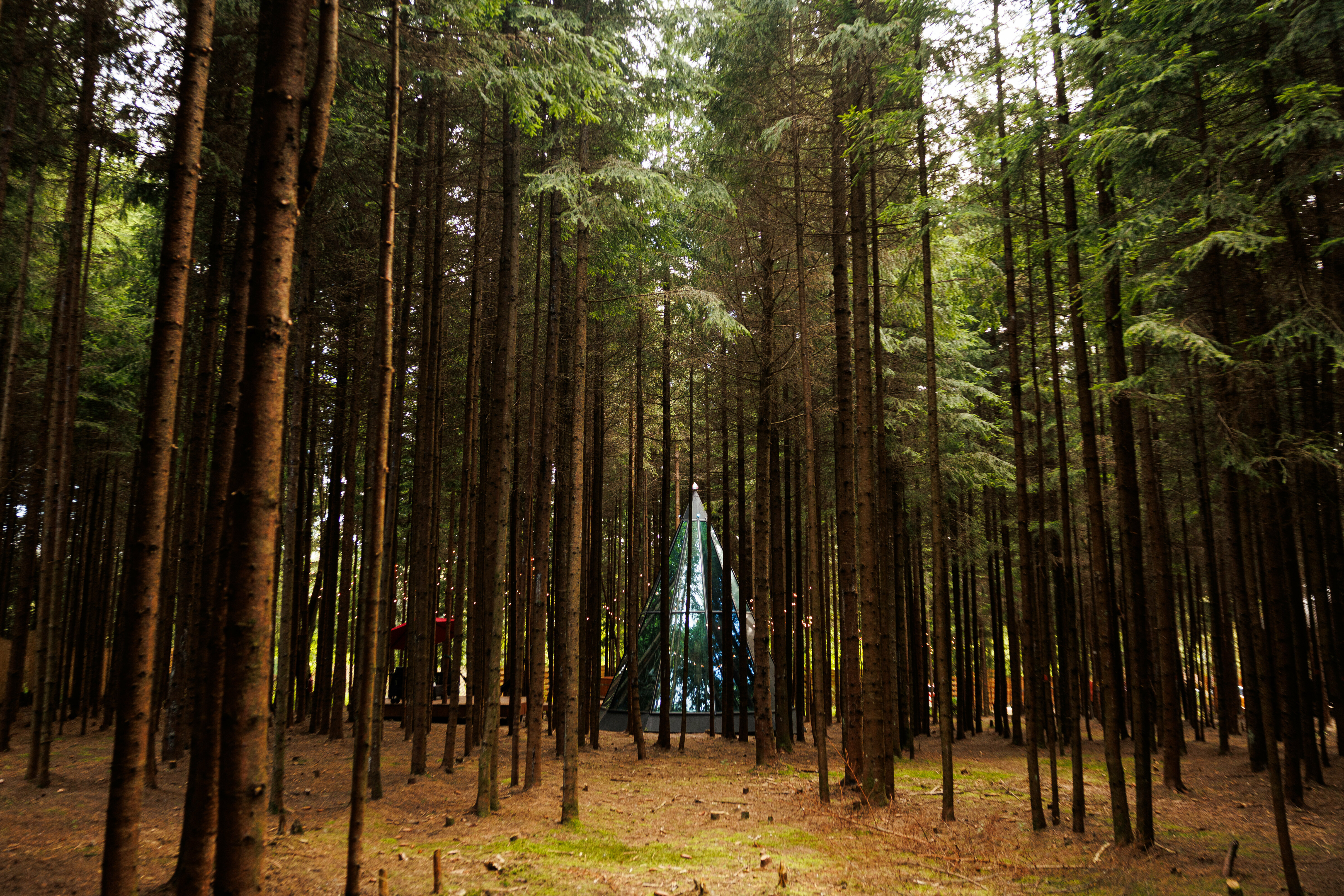 Люкс с террасой