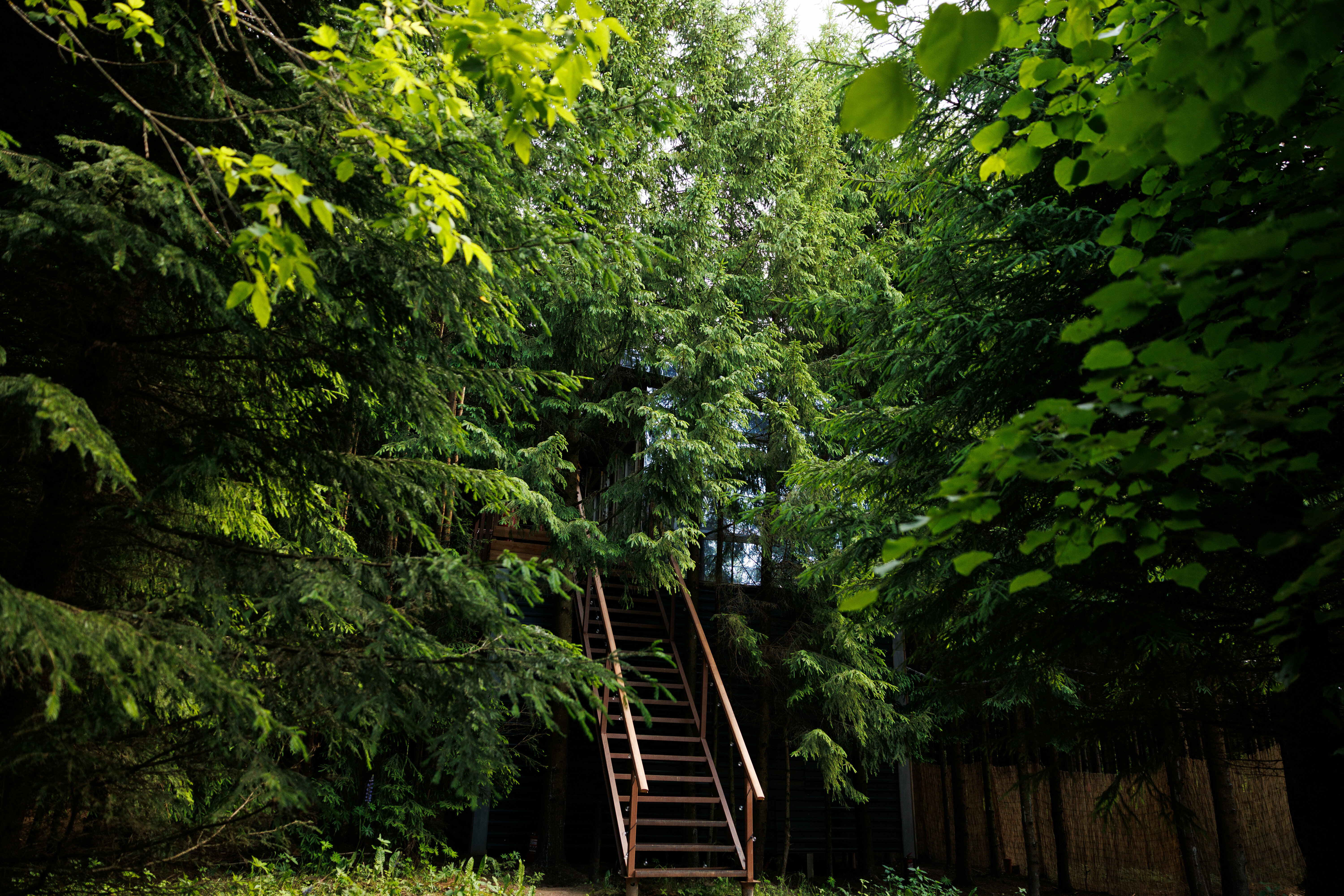 Зеркальный дом на дереве Романтик