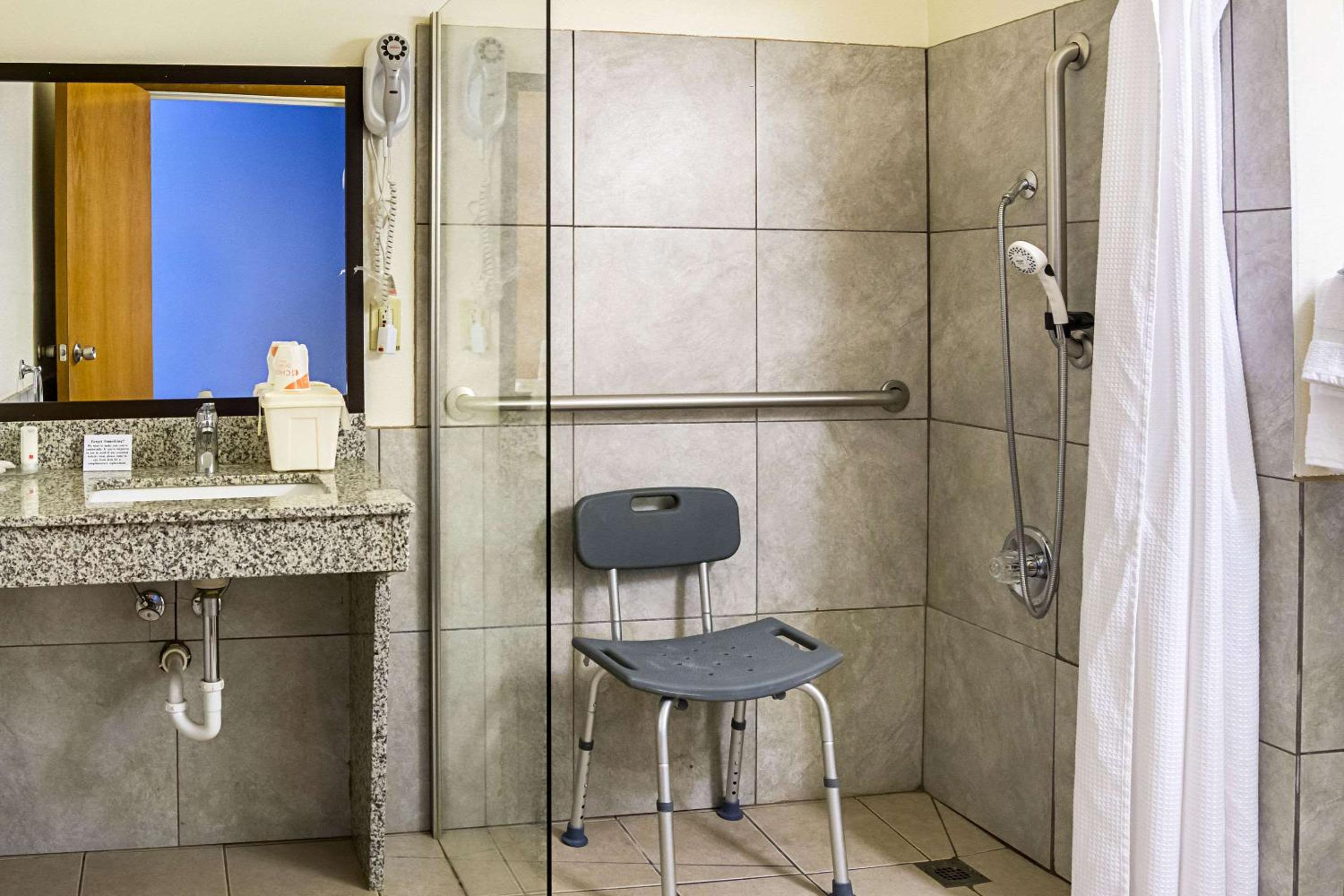 King Room with Roll-In Shower - Accessible/Non-Smoking