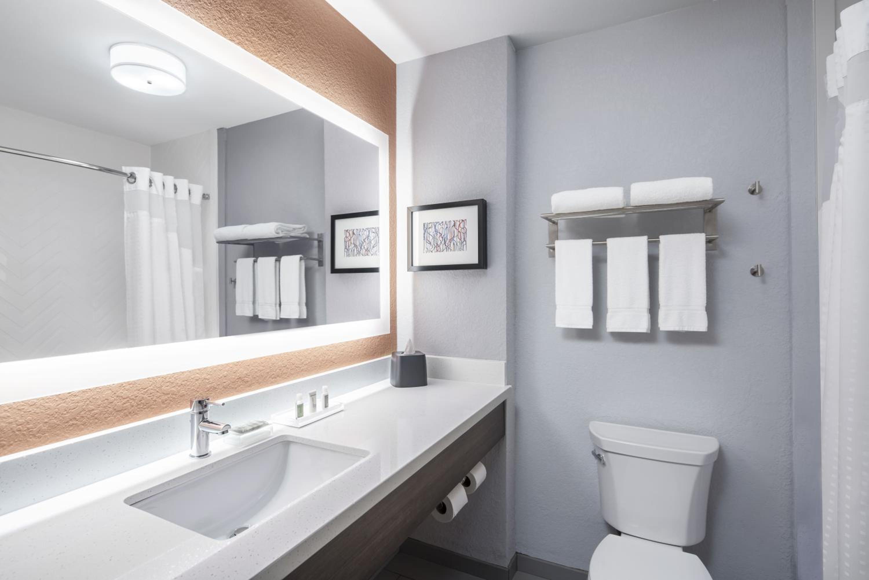 Standard King Room with Sofa Bed - Non-Smoking