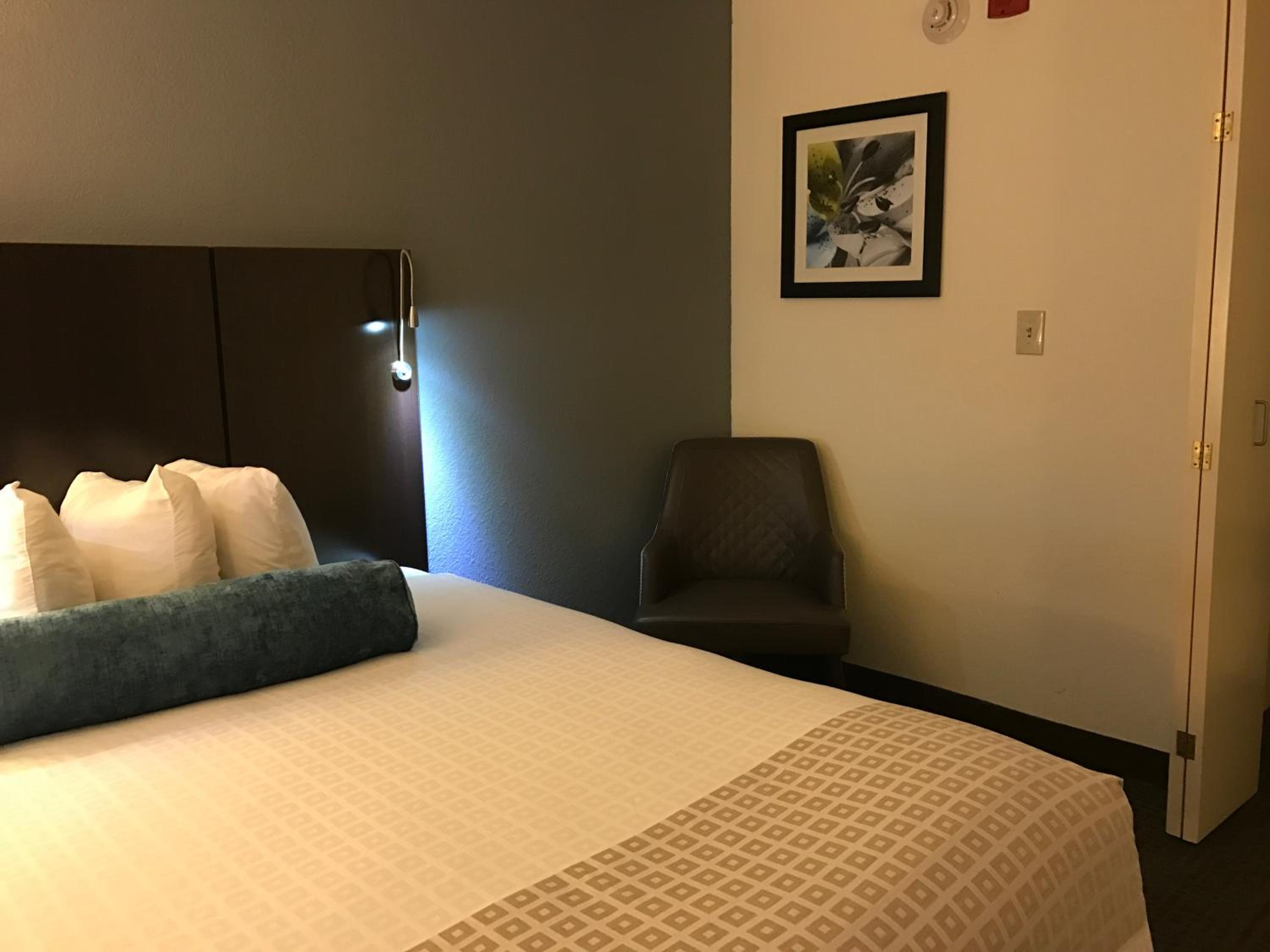 King Room With Roll-In Shower - Disability Access/Non-Smoking