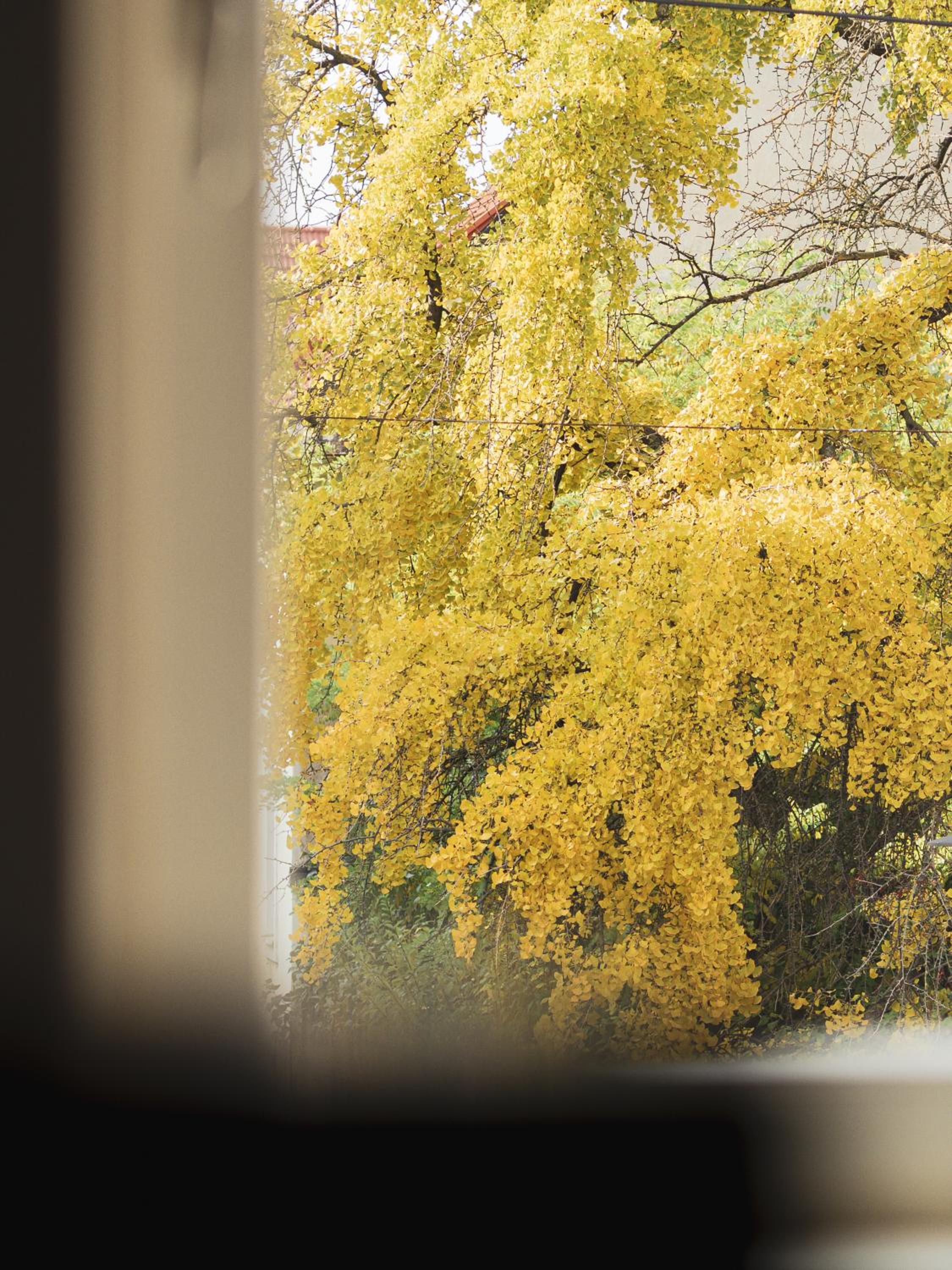 Double Room with Extra Bed