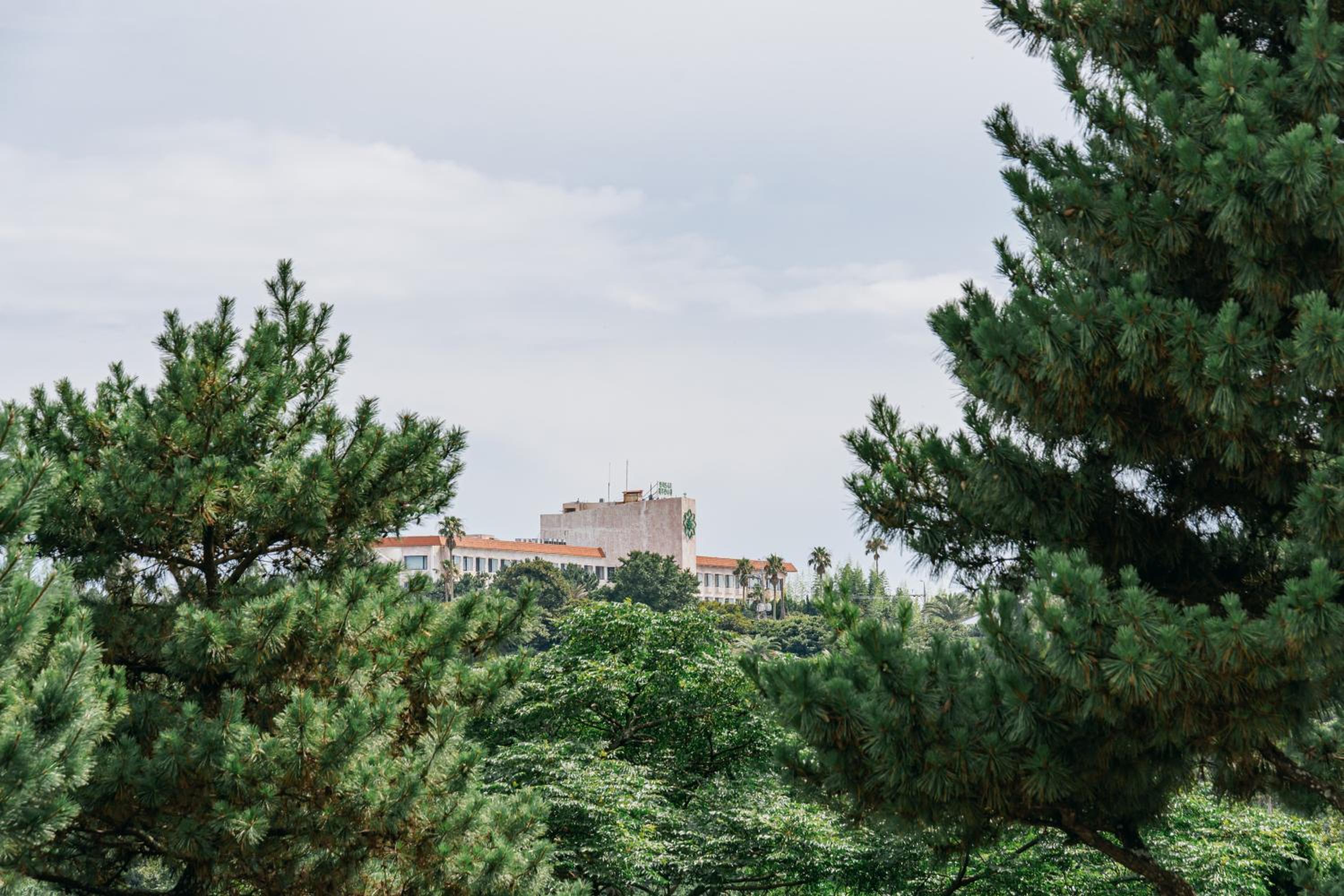 Pet Deluxe Twin Room with Sea View