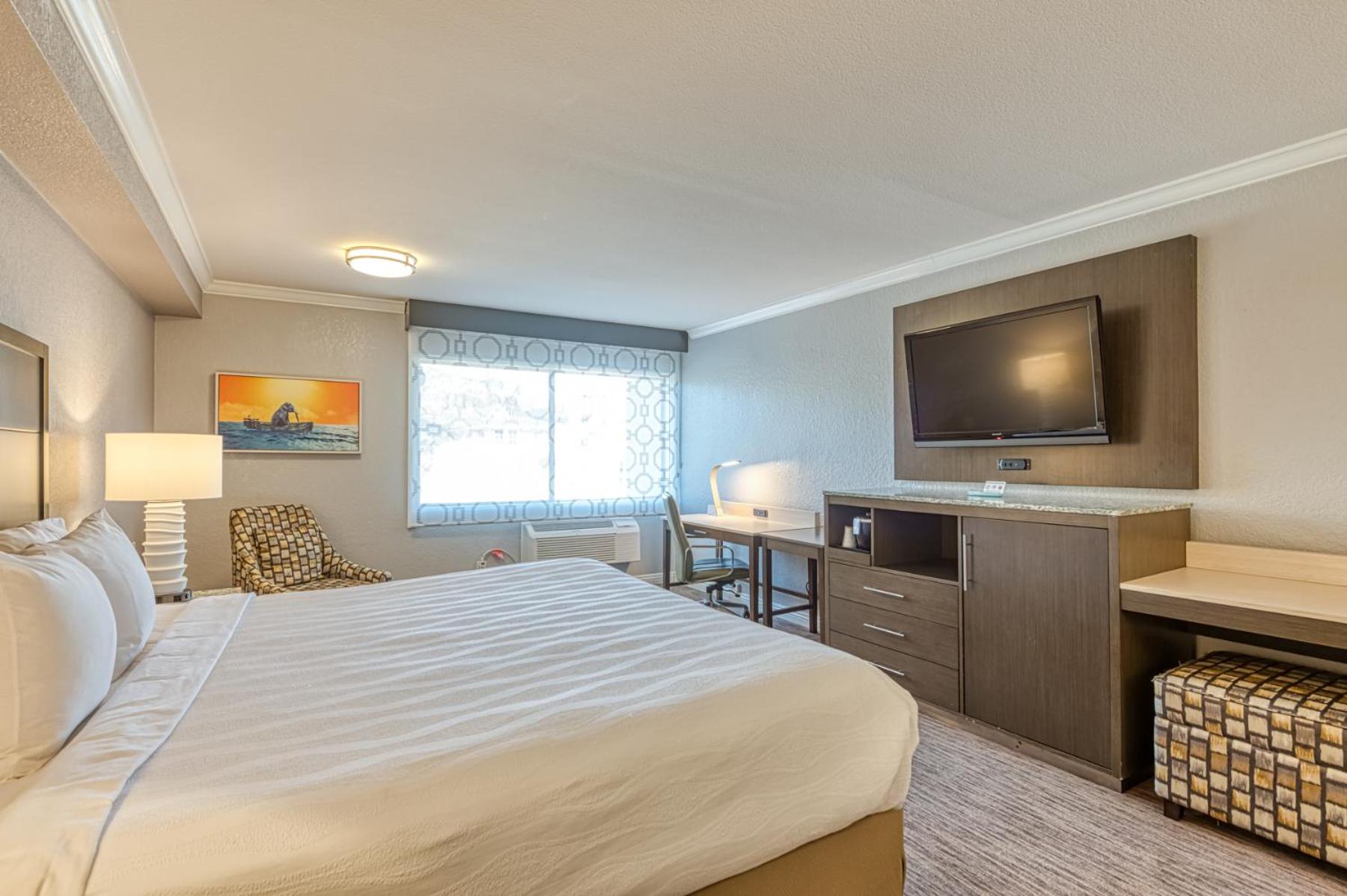 Standard King Room - Non Smoking