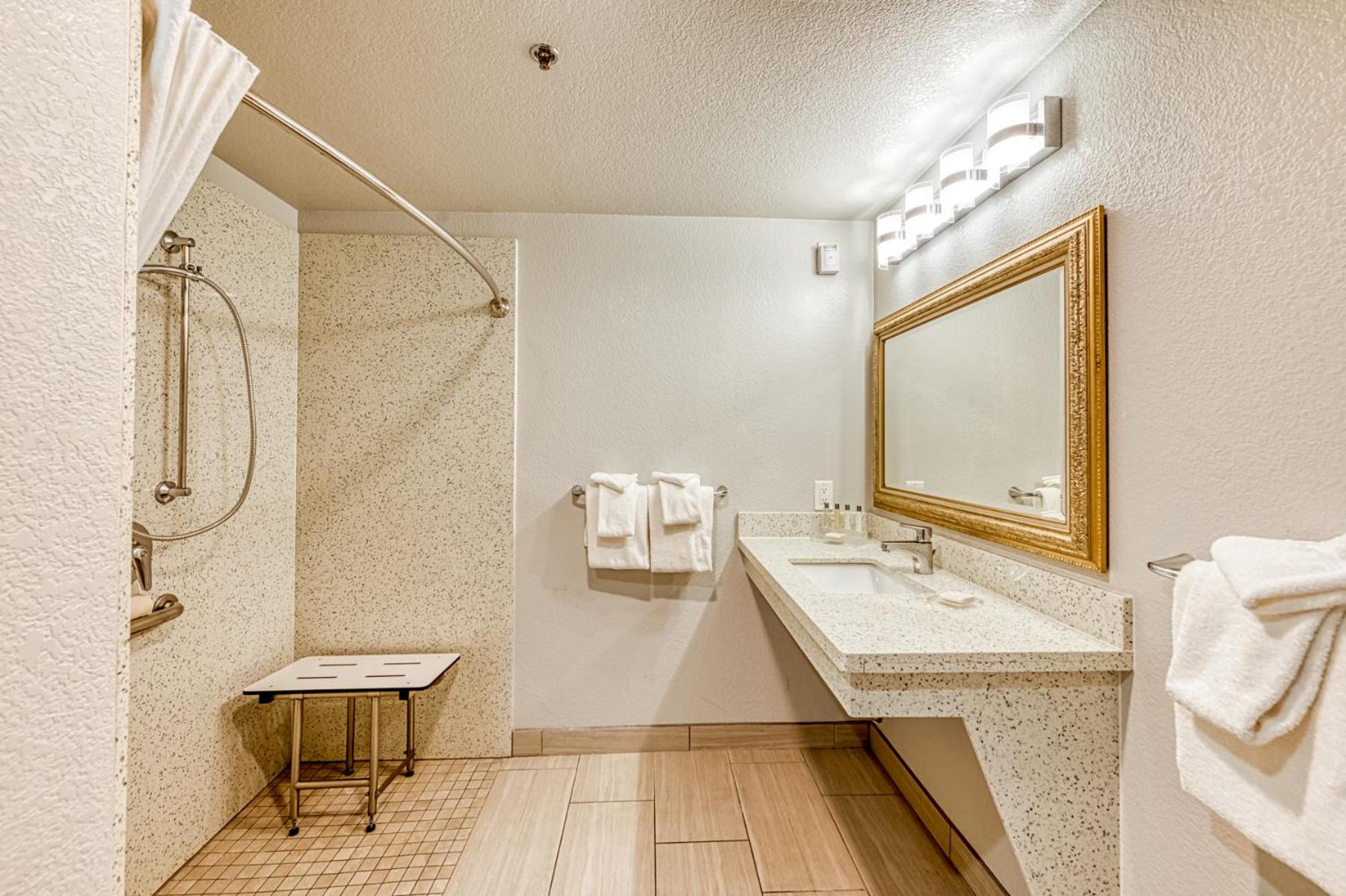 King Room with Roll-In Shower - Accessible/Non Smoking