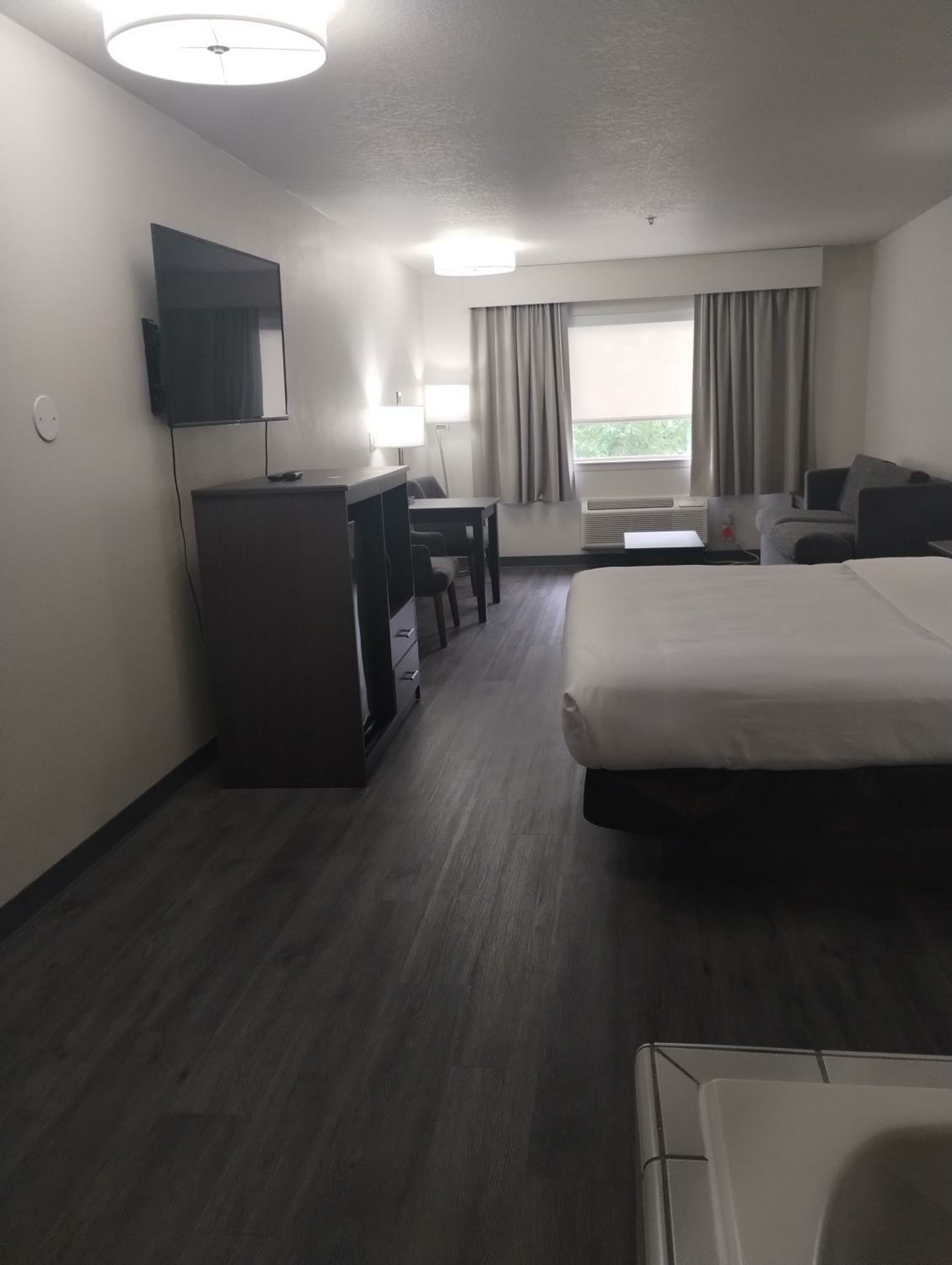 Standard King Room with Whirlpool in bath and Sofabed - Non Smoking 