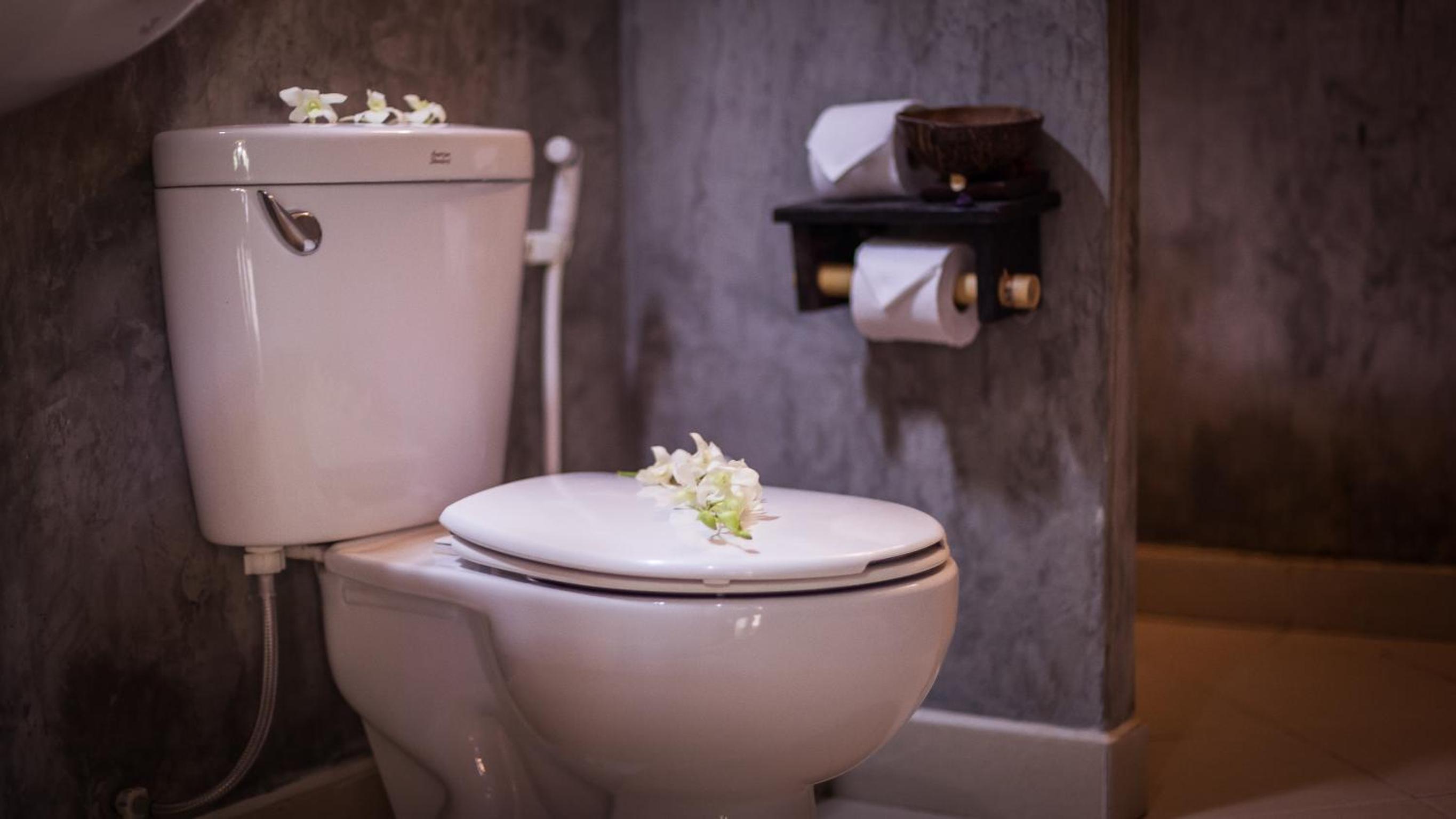 Front Garden Bungalow 