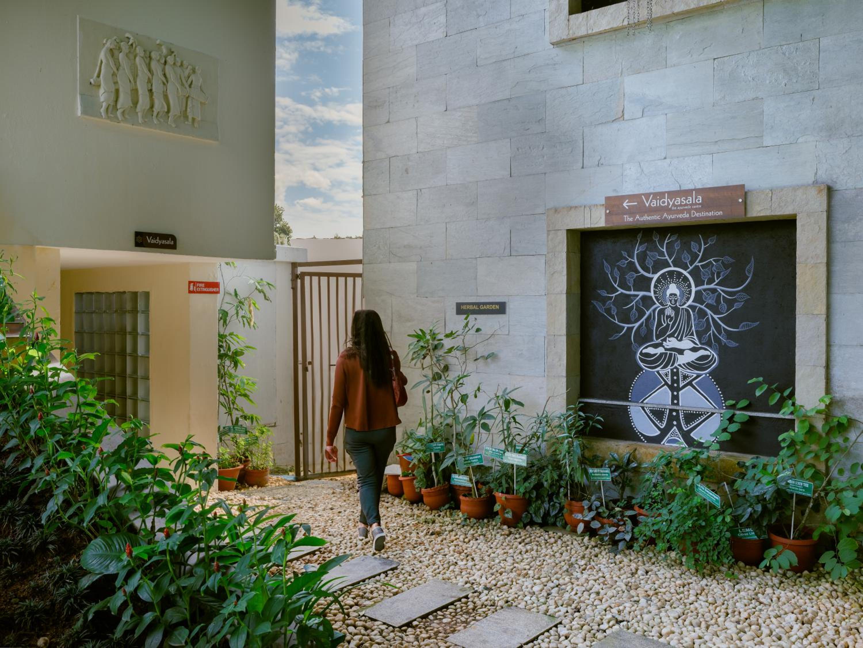 Turtle Signature Suite