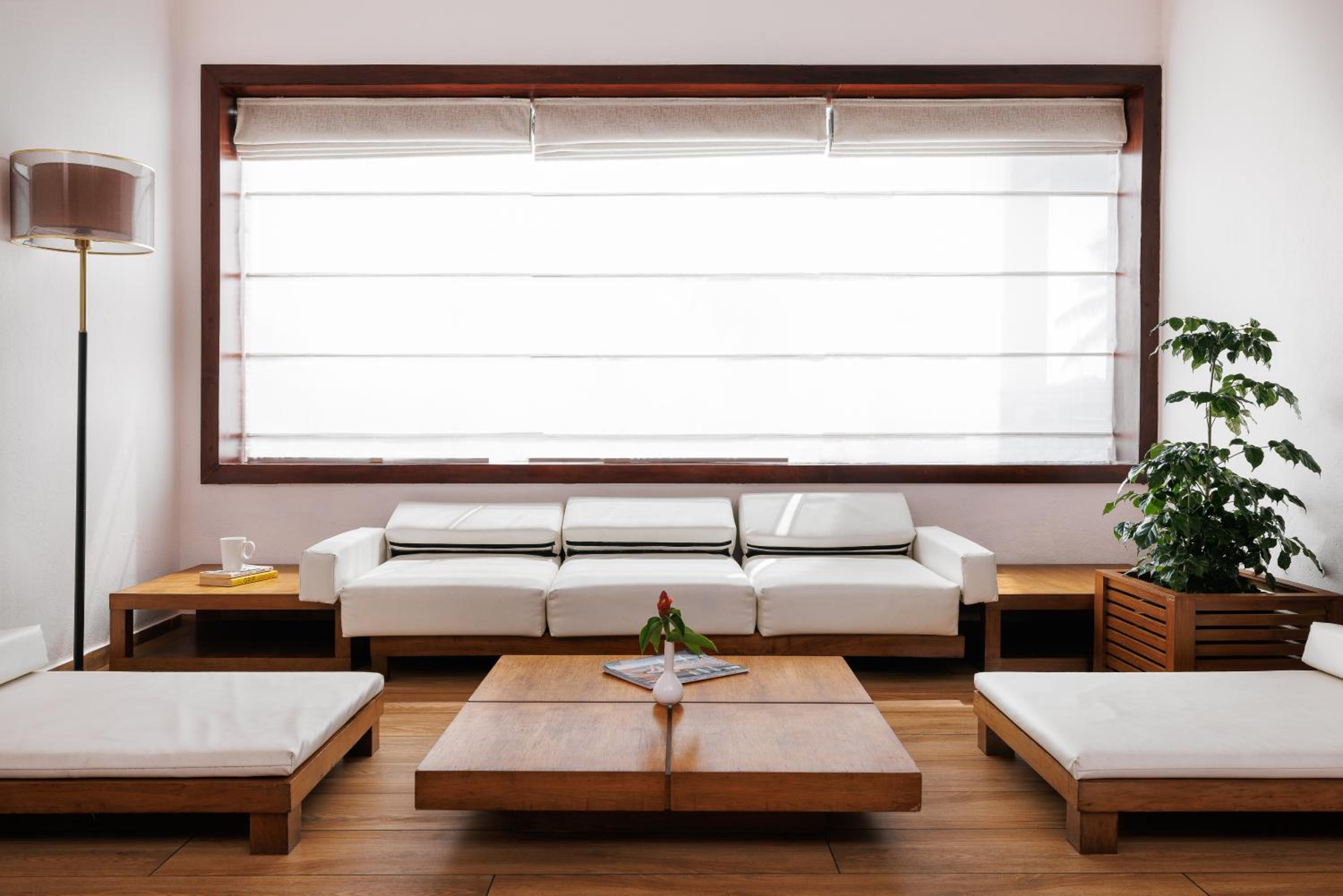 Turtle Signature Suite