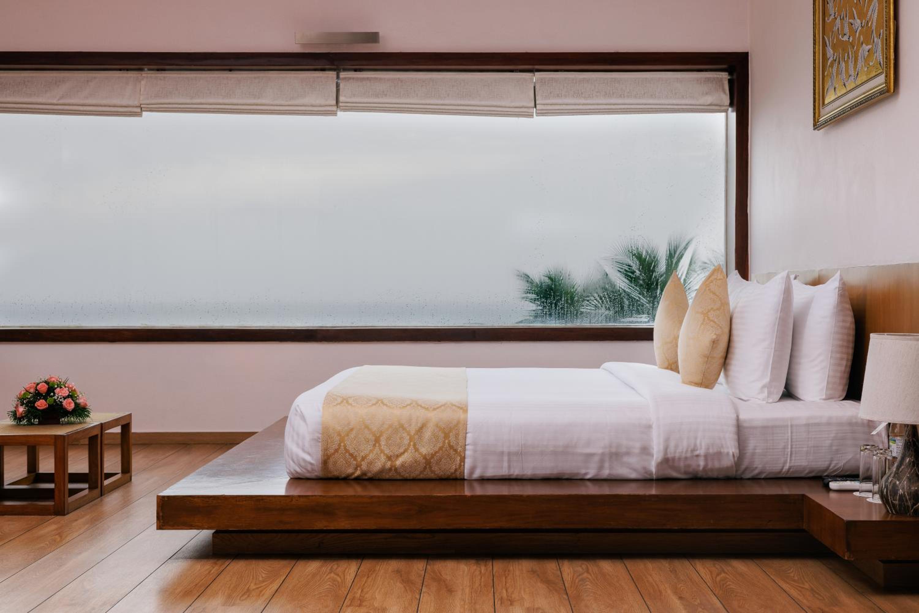 Turtle Signature Suite