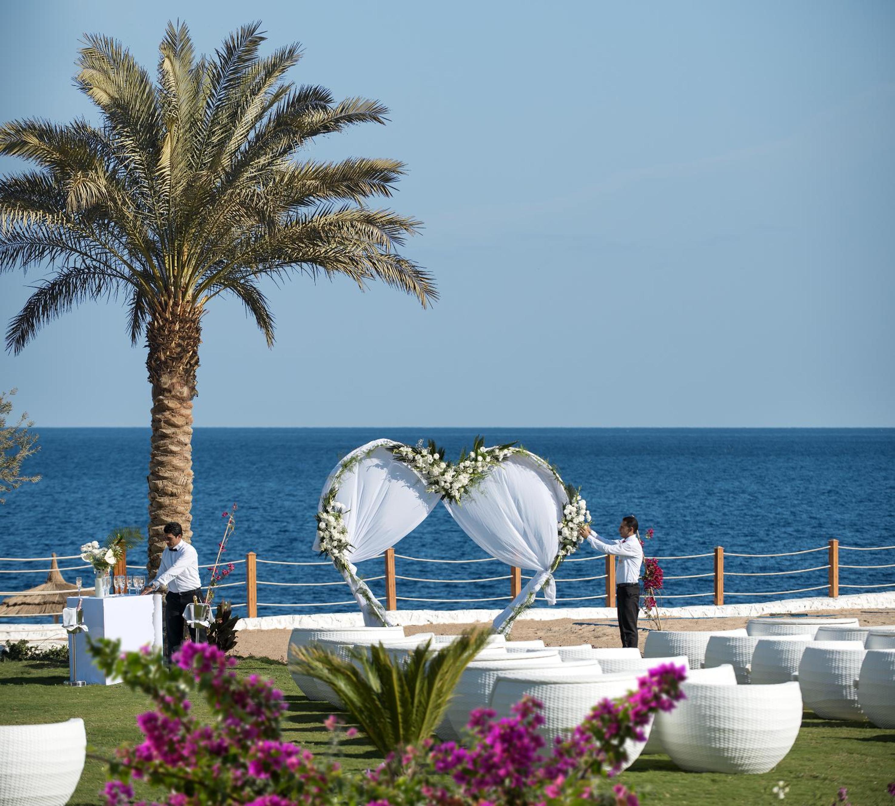 Signature Swim Up Suite Posh Club