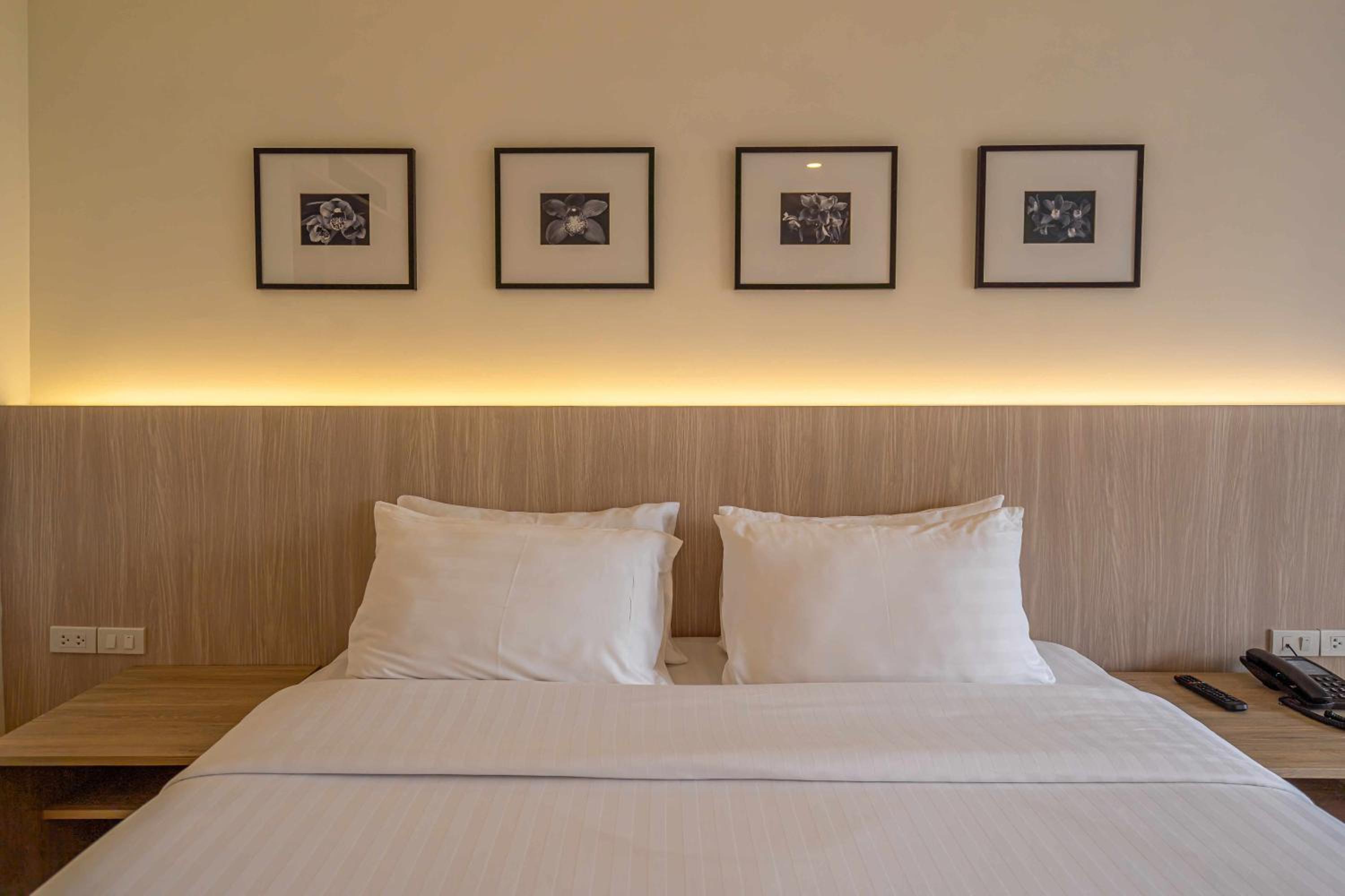 Superior Double or Twin Room