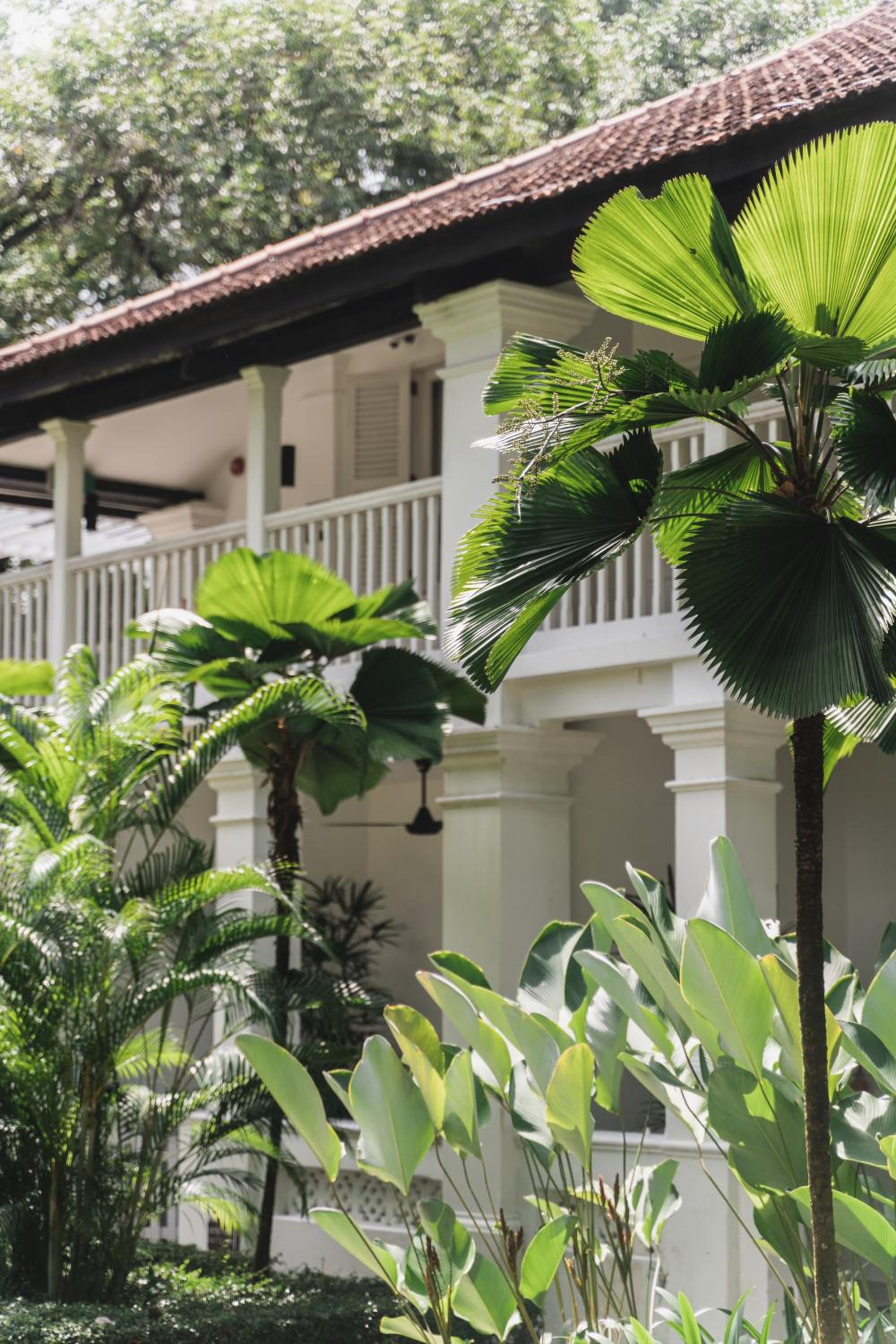 Courtyard Suite with Private Jacuzzi [Newly Renovated]