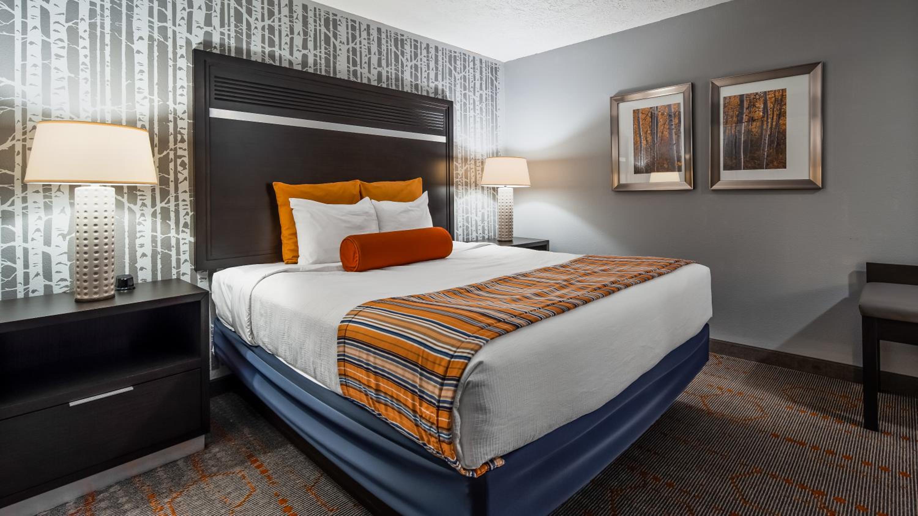 King Suite - Pet Friendly/Non-Smoking