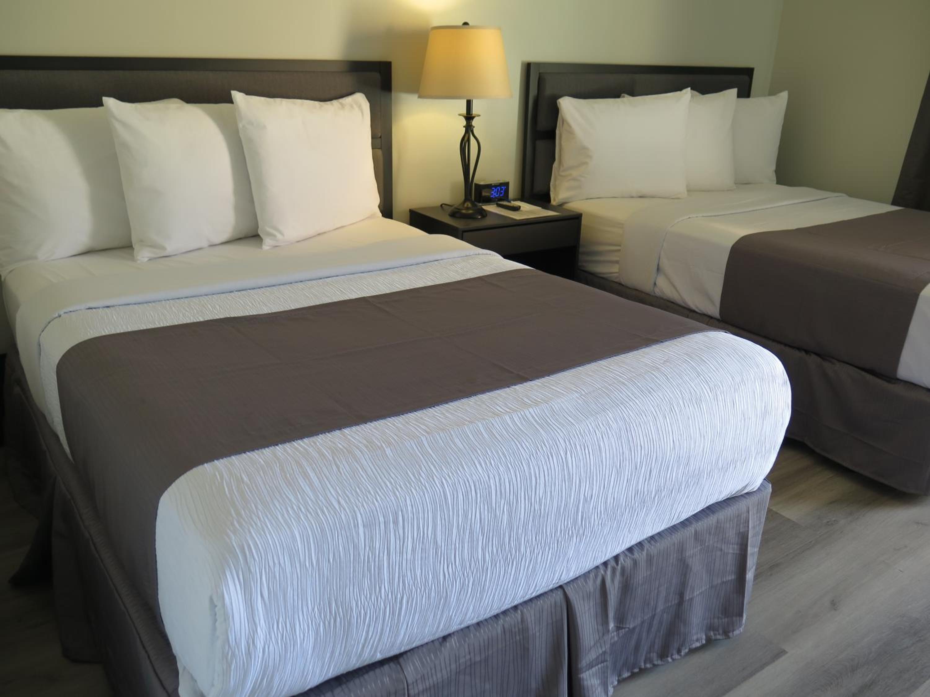 Deluxe 2 Double Beds - Non-Smoking