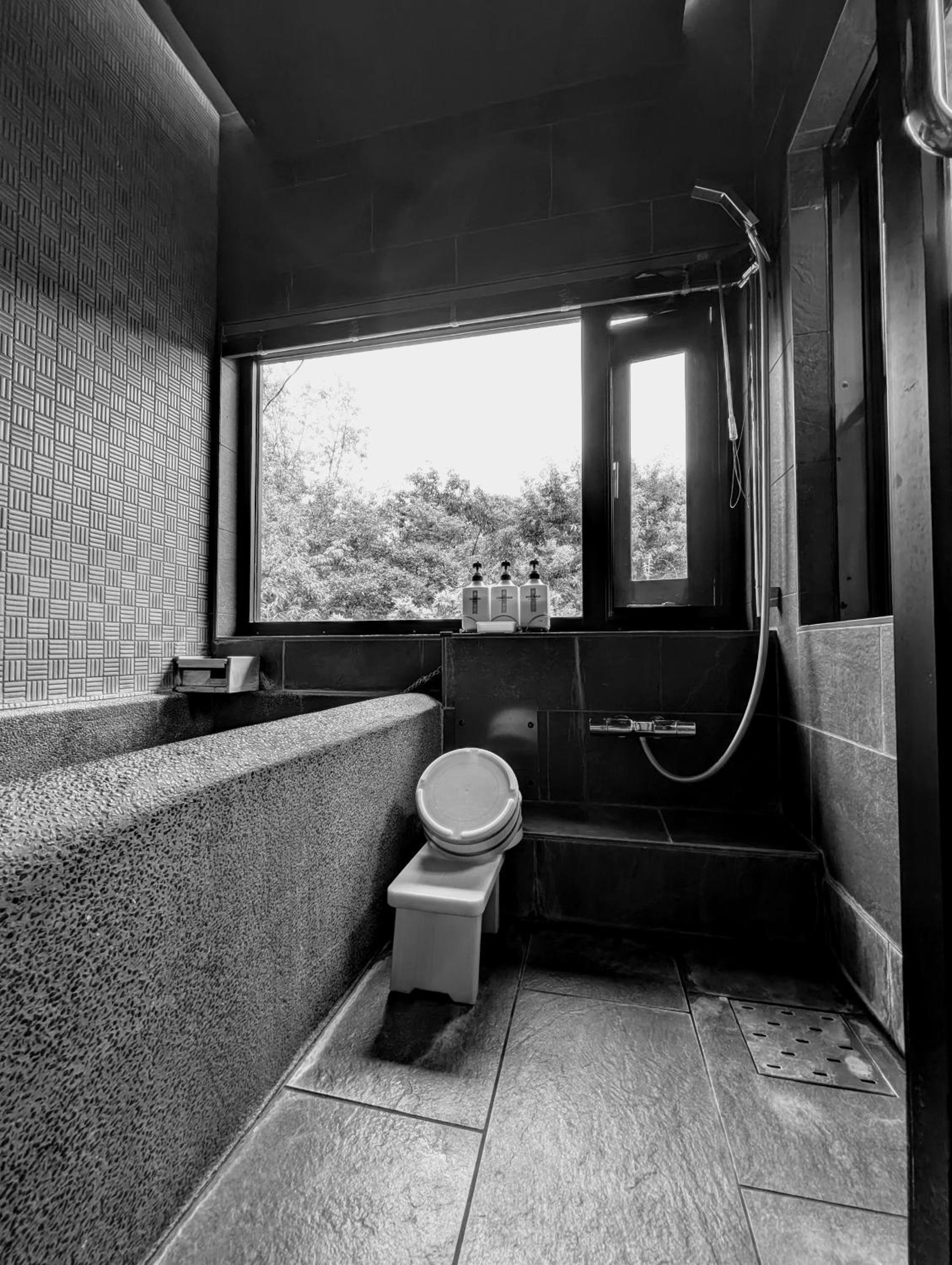 Twin Room with Bathroom (Adult Only)