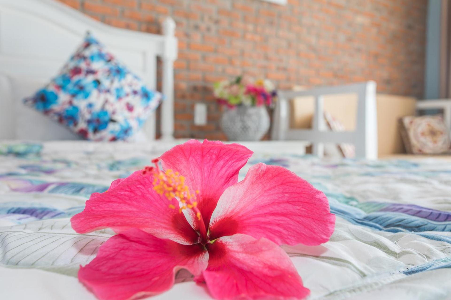 Ocean Front Romance Junior Suite