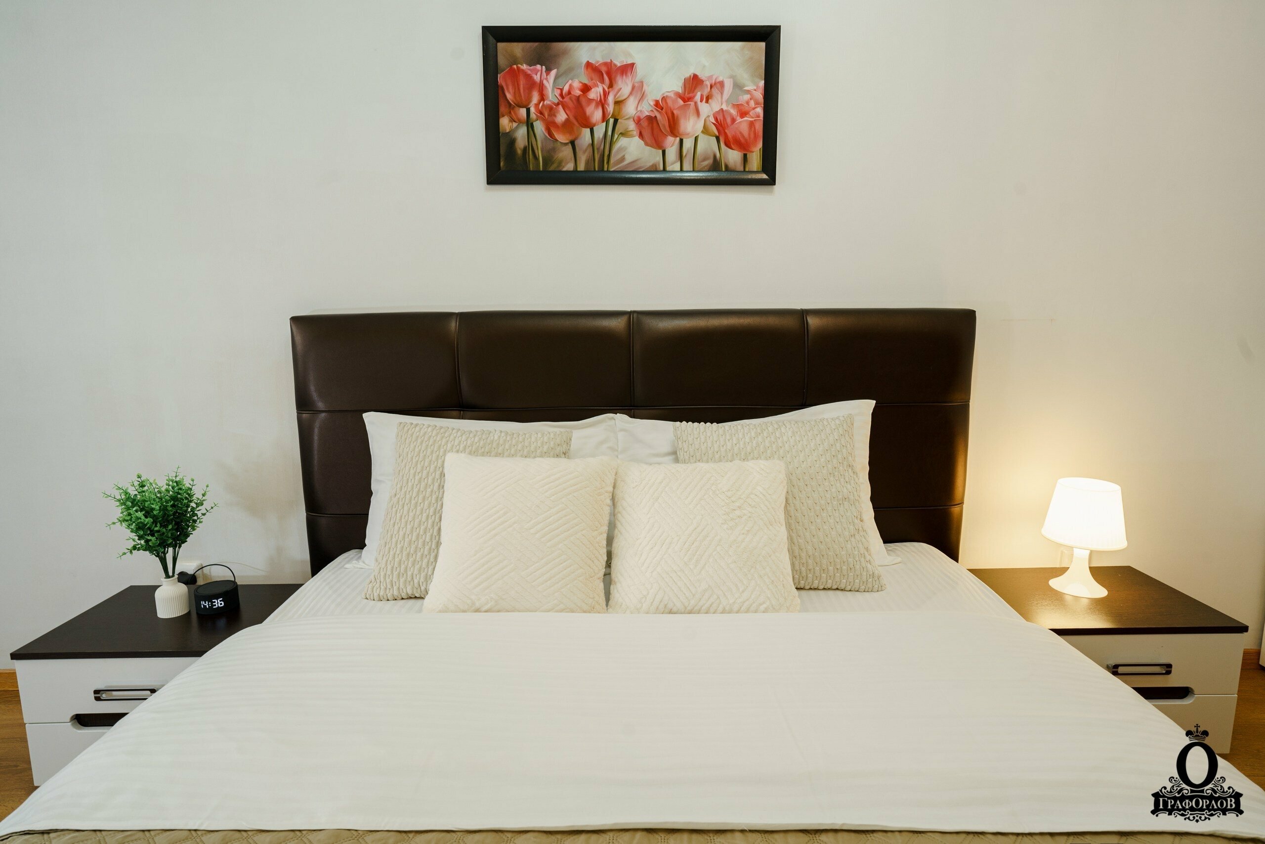 Апартаменты комфорт 461 Граф Орлов