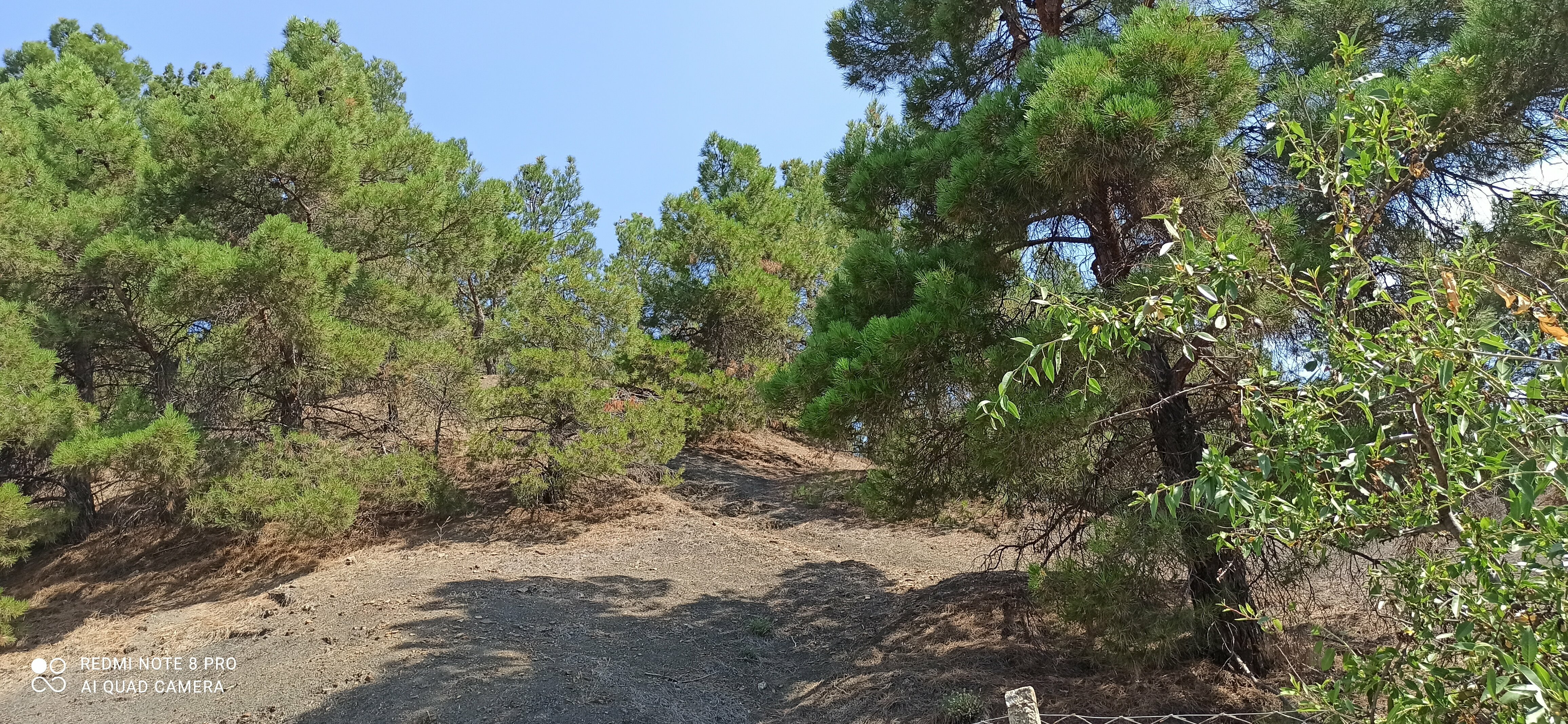 Бюджетный трехместный номер