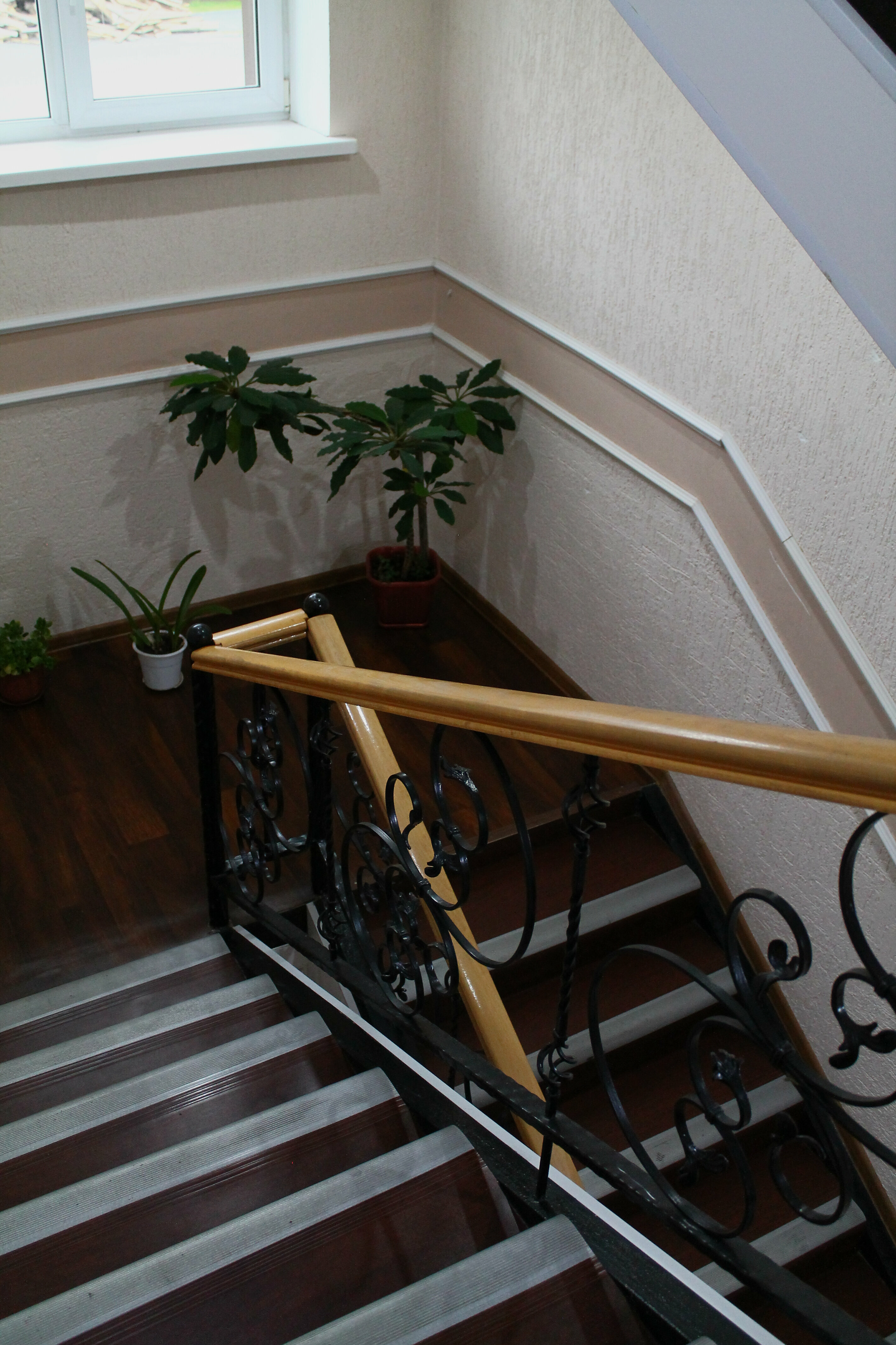 Семейный люкс