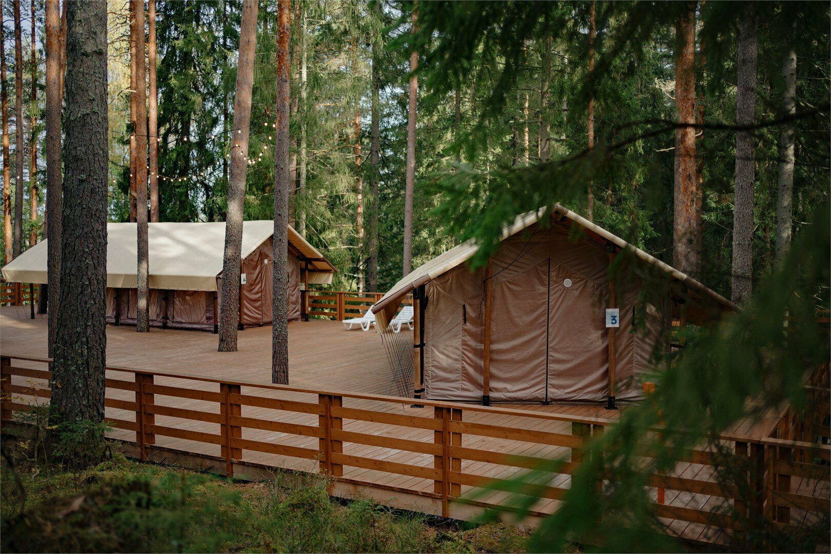 Лодж на холме с видом на лес