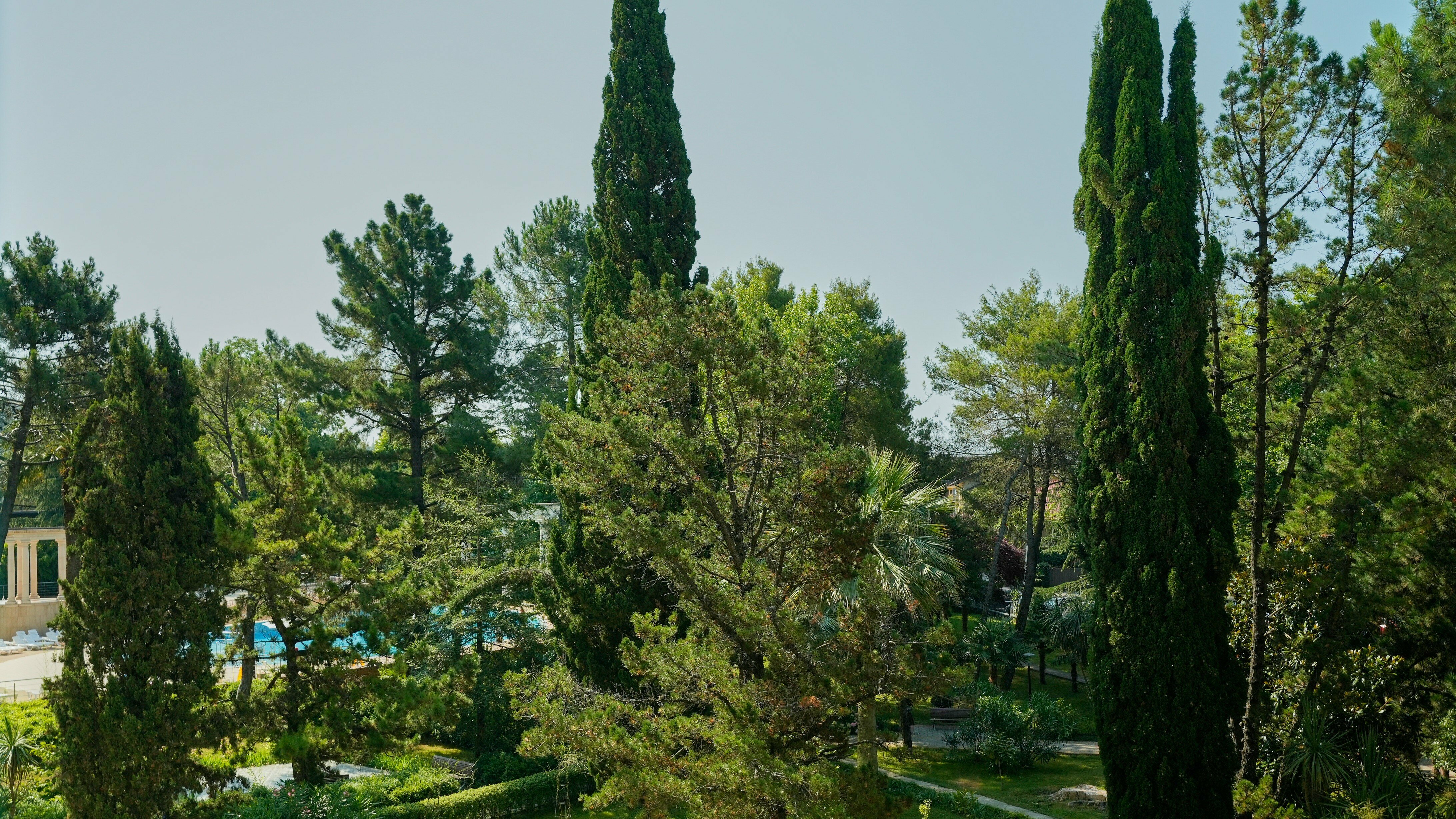 Семейный Комфорт TWIN