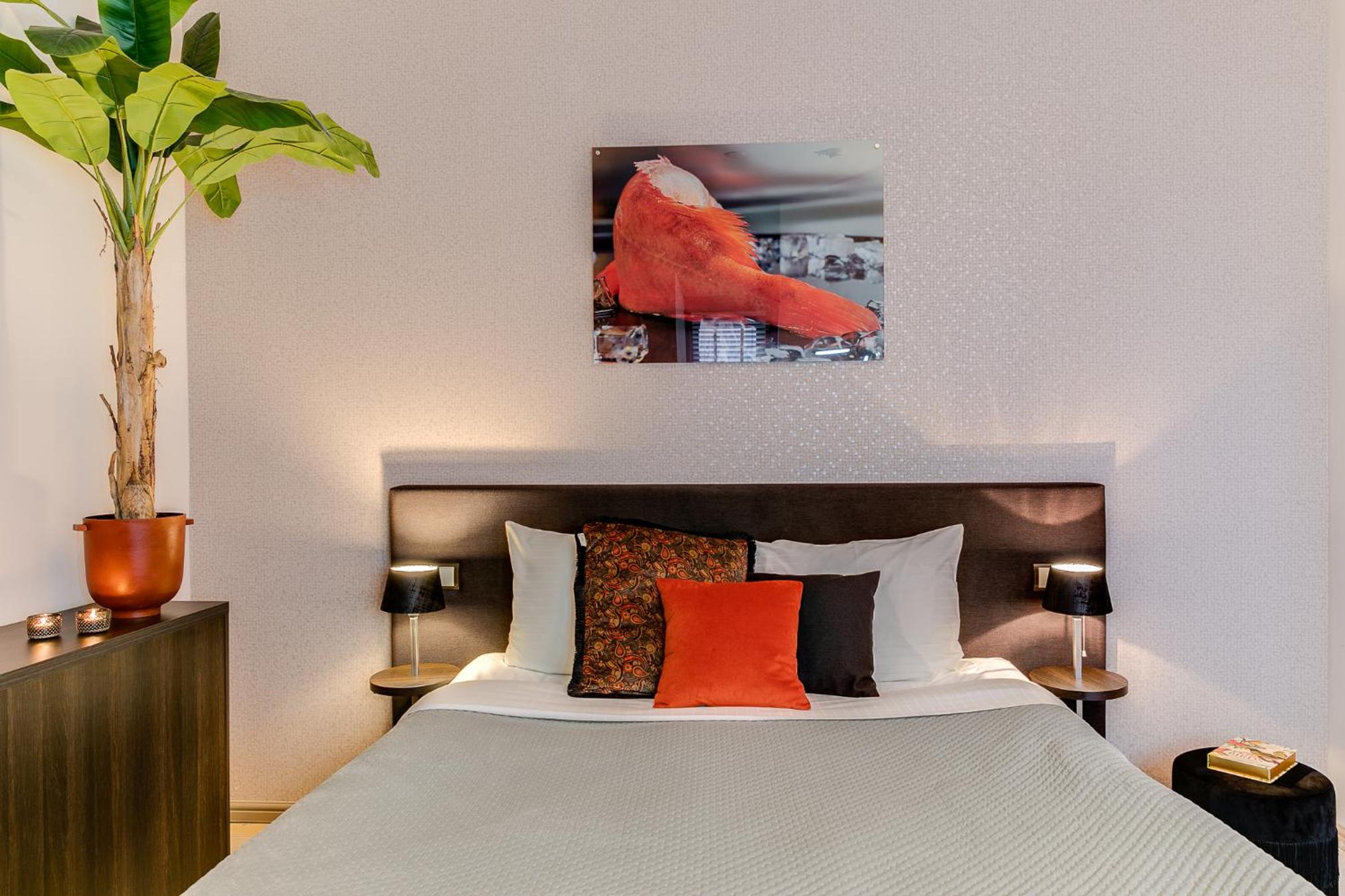 Deluxe Suite Roodbaars