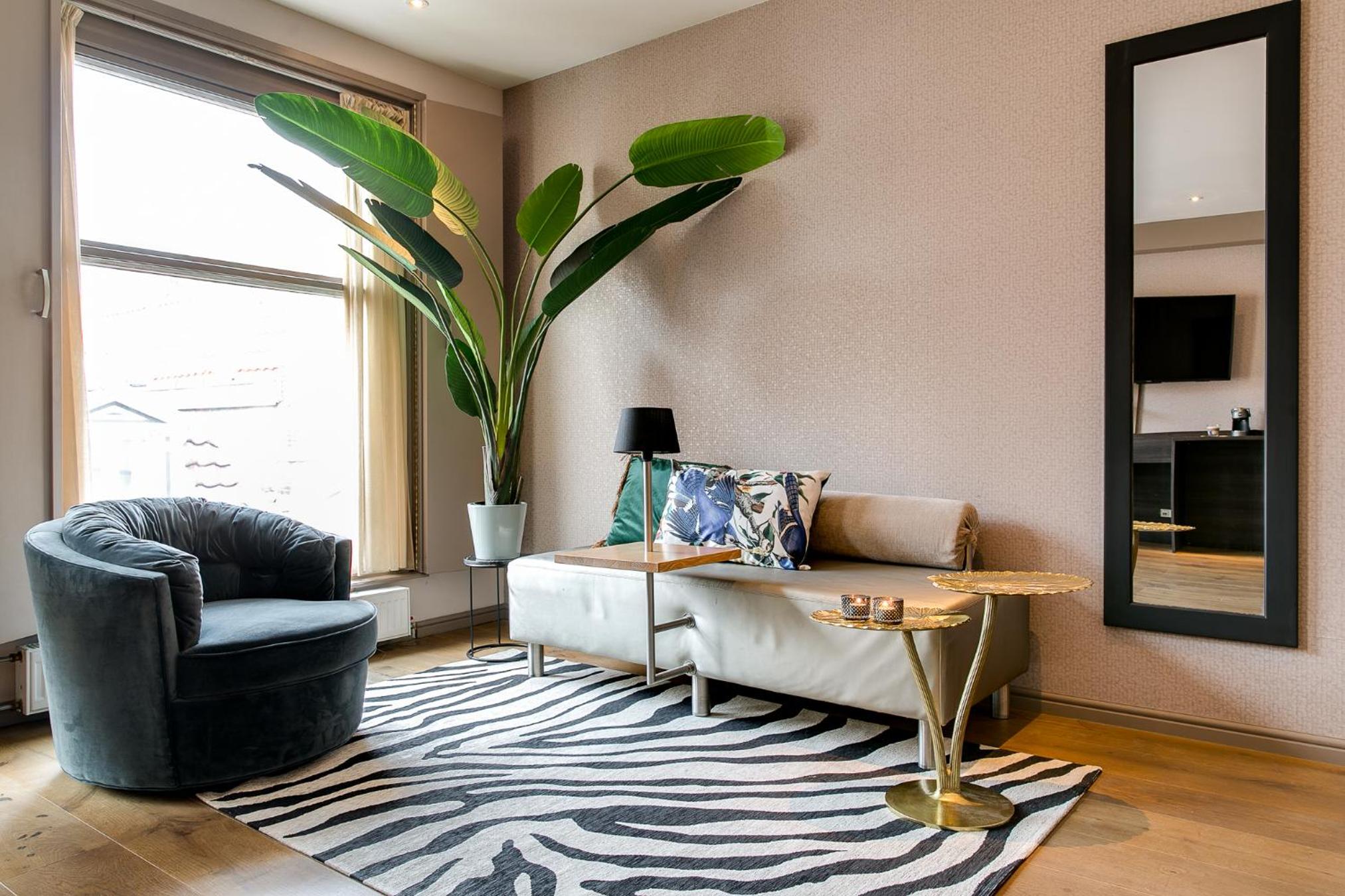 Junior Suite Sardine