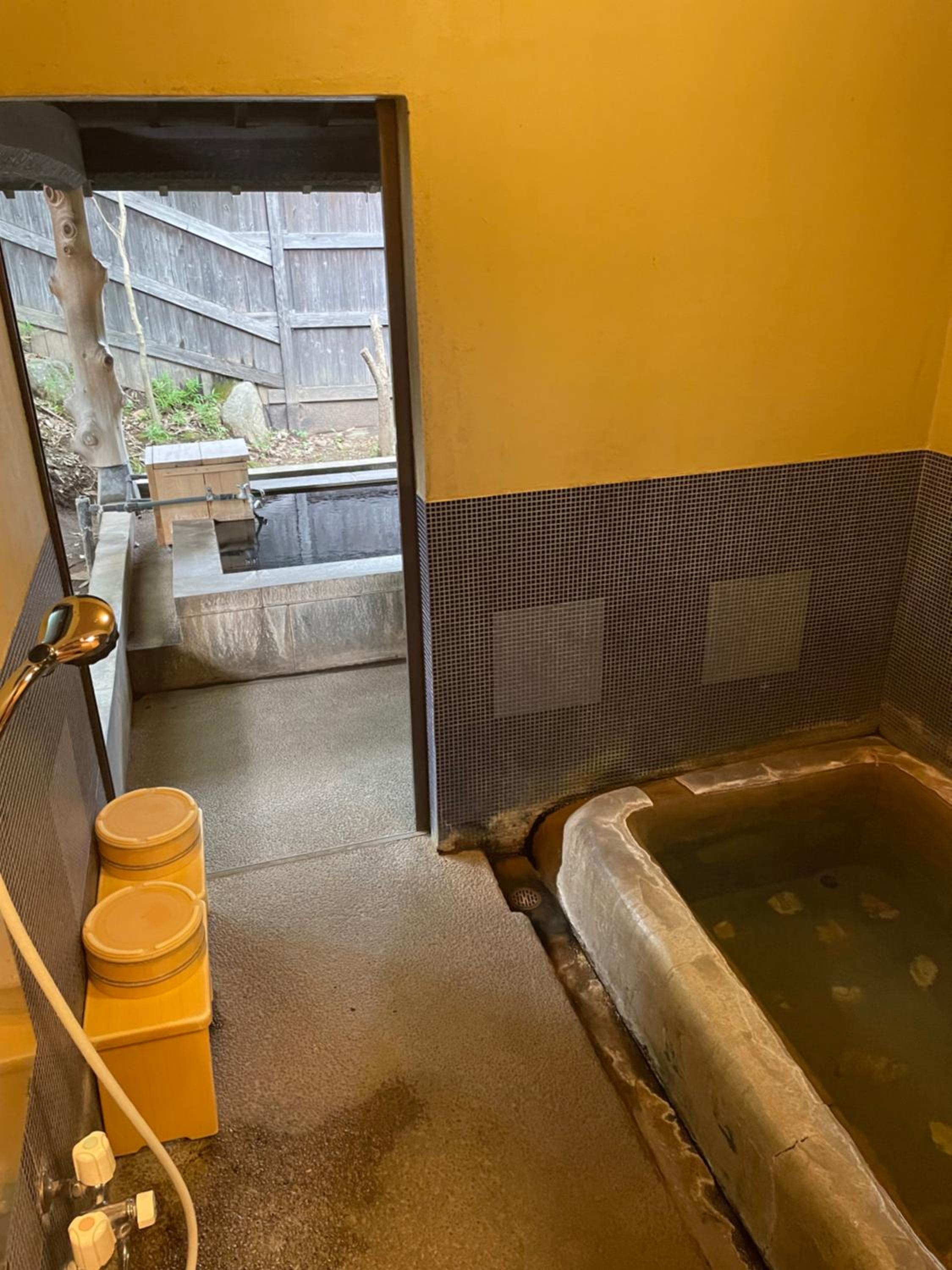 Japanese-Style Room - Garden View