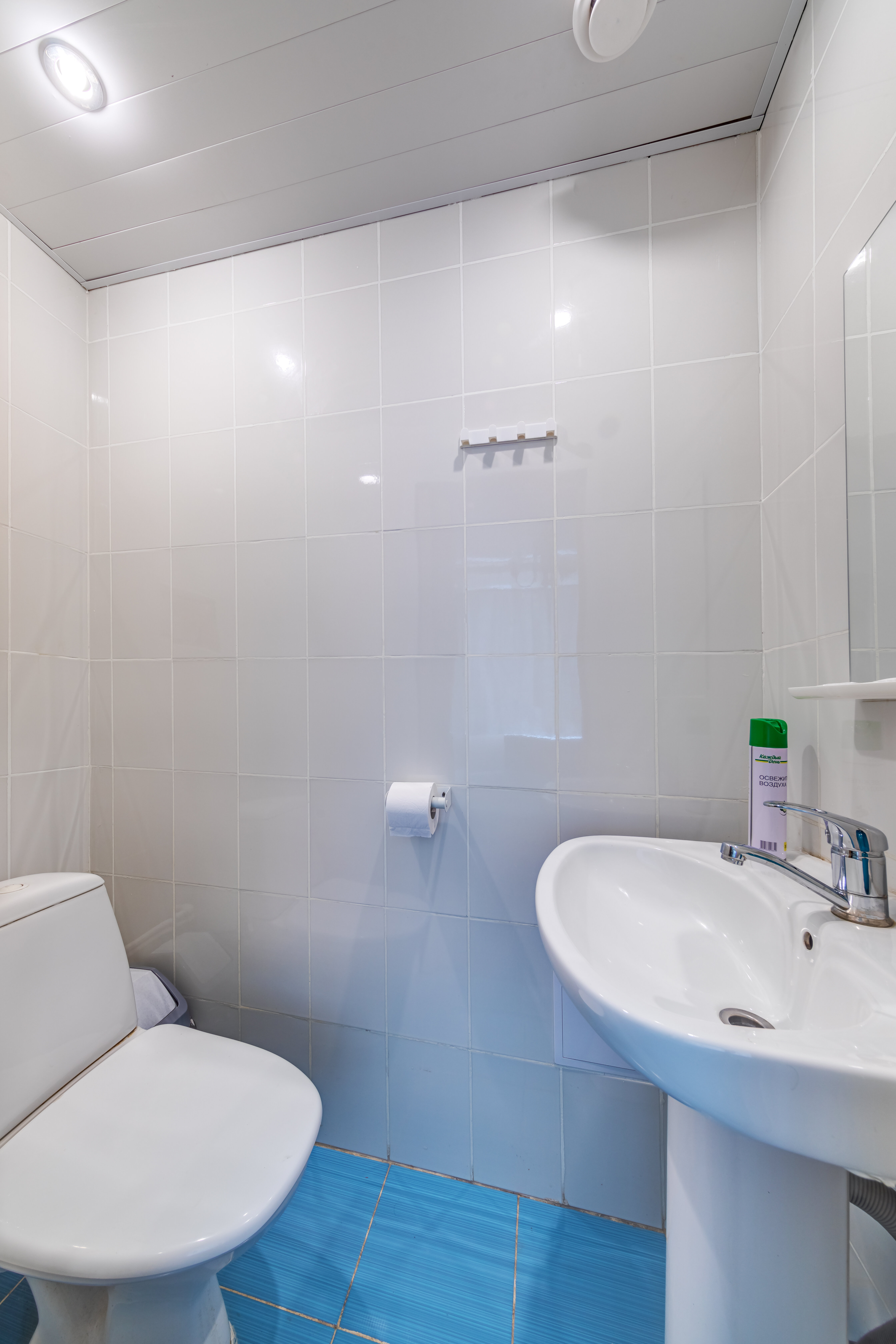 Двухместный номер с туалетом и раковиной в комнате