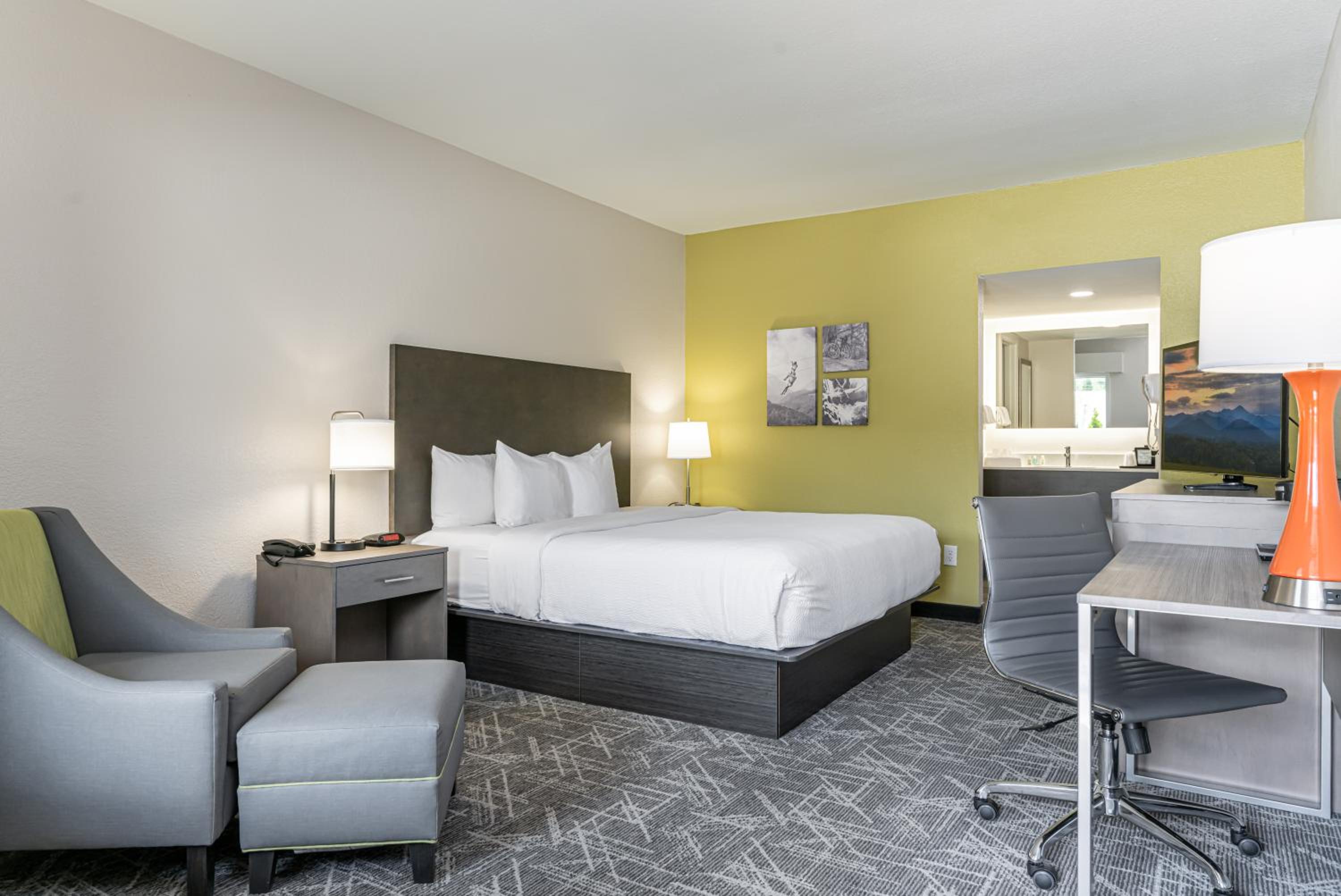 King Room - Non-Smoking/Pet-Friendly