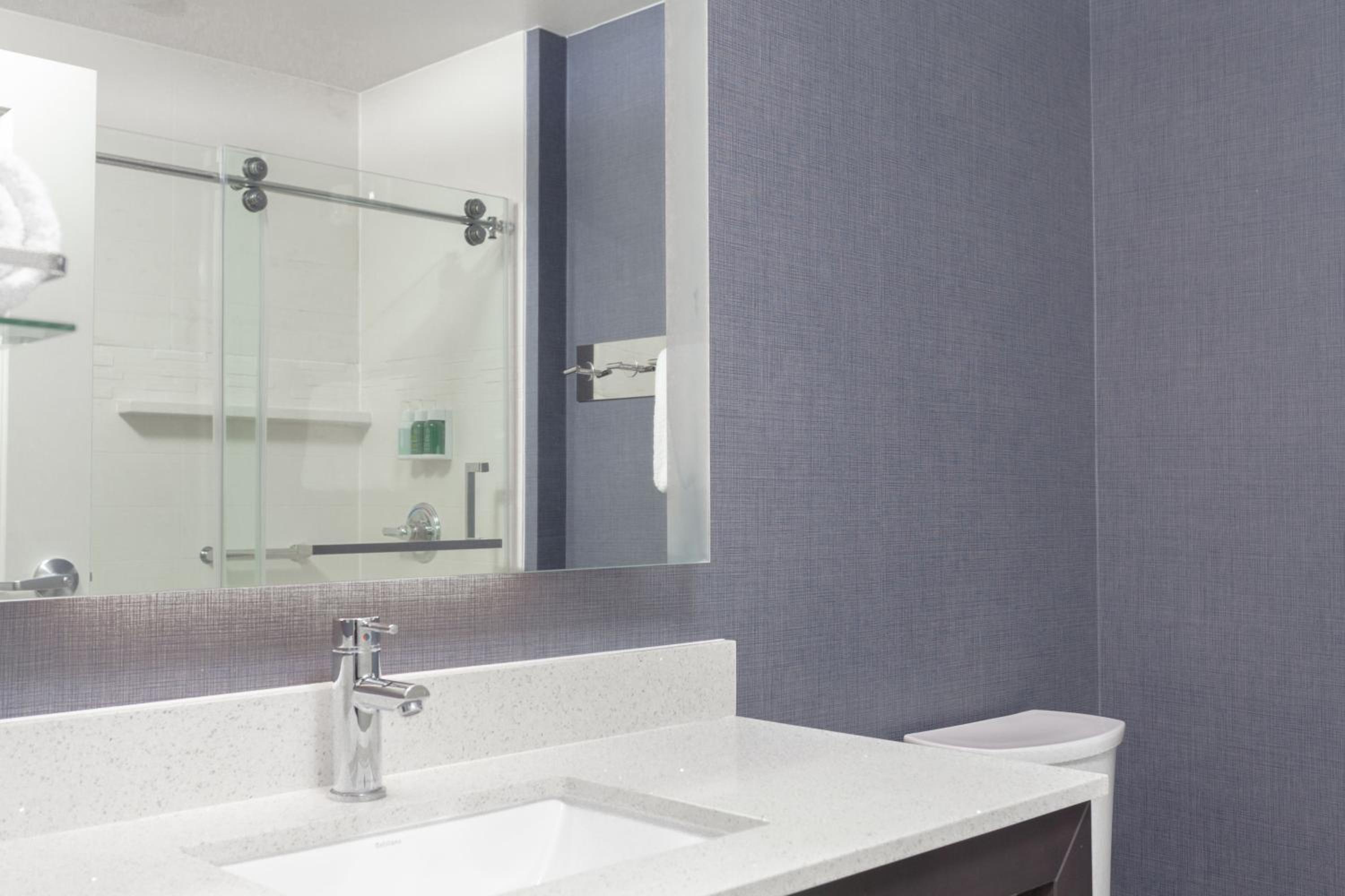 King Studio Suite with Sofa Bed