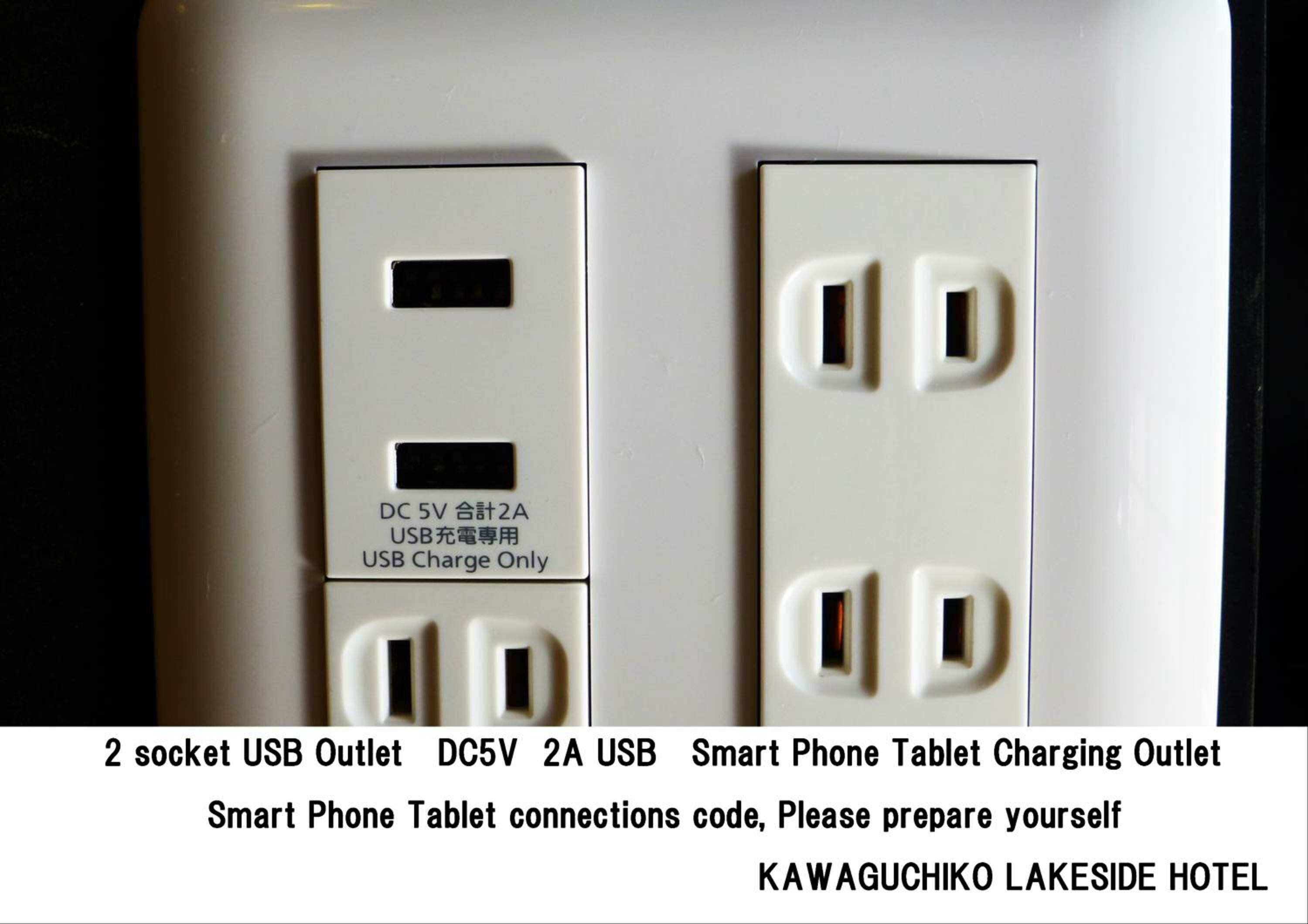 Japanese-Style Room with Mt. Fuji View