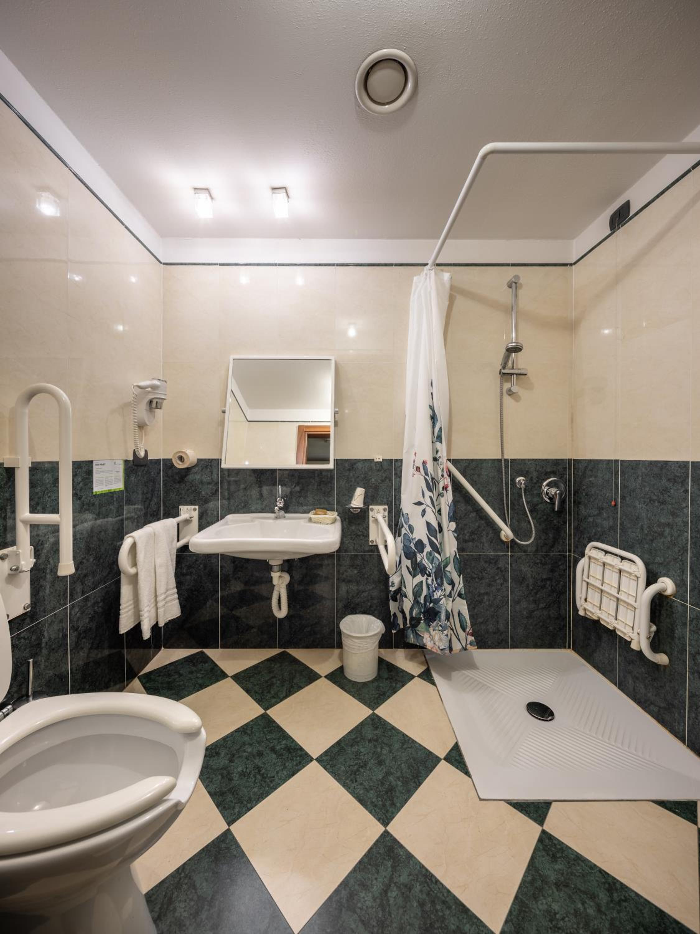 King Room with Roll-In Shower - Disability Access